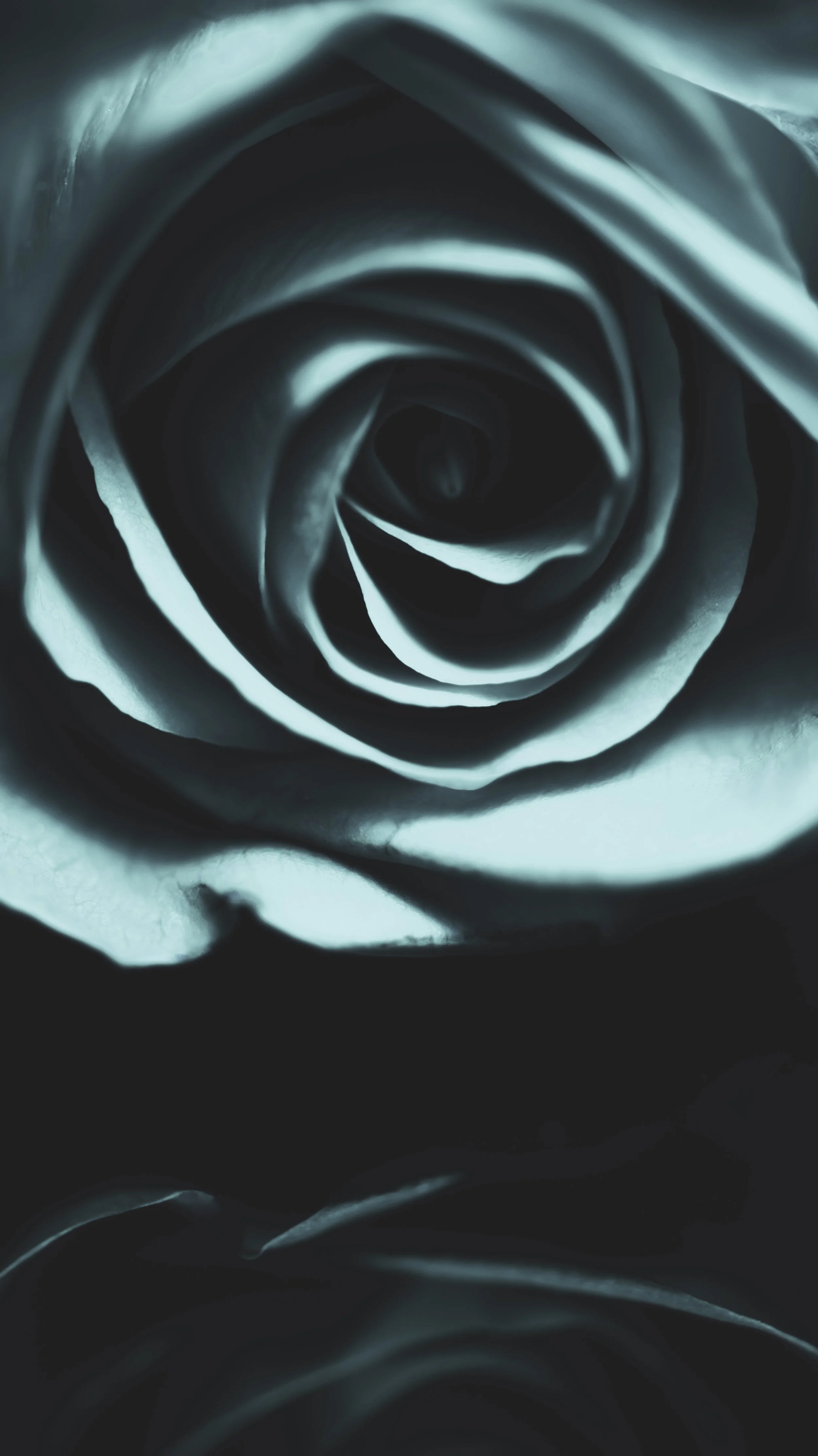 LeiLani_ink_ (50).jpg