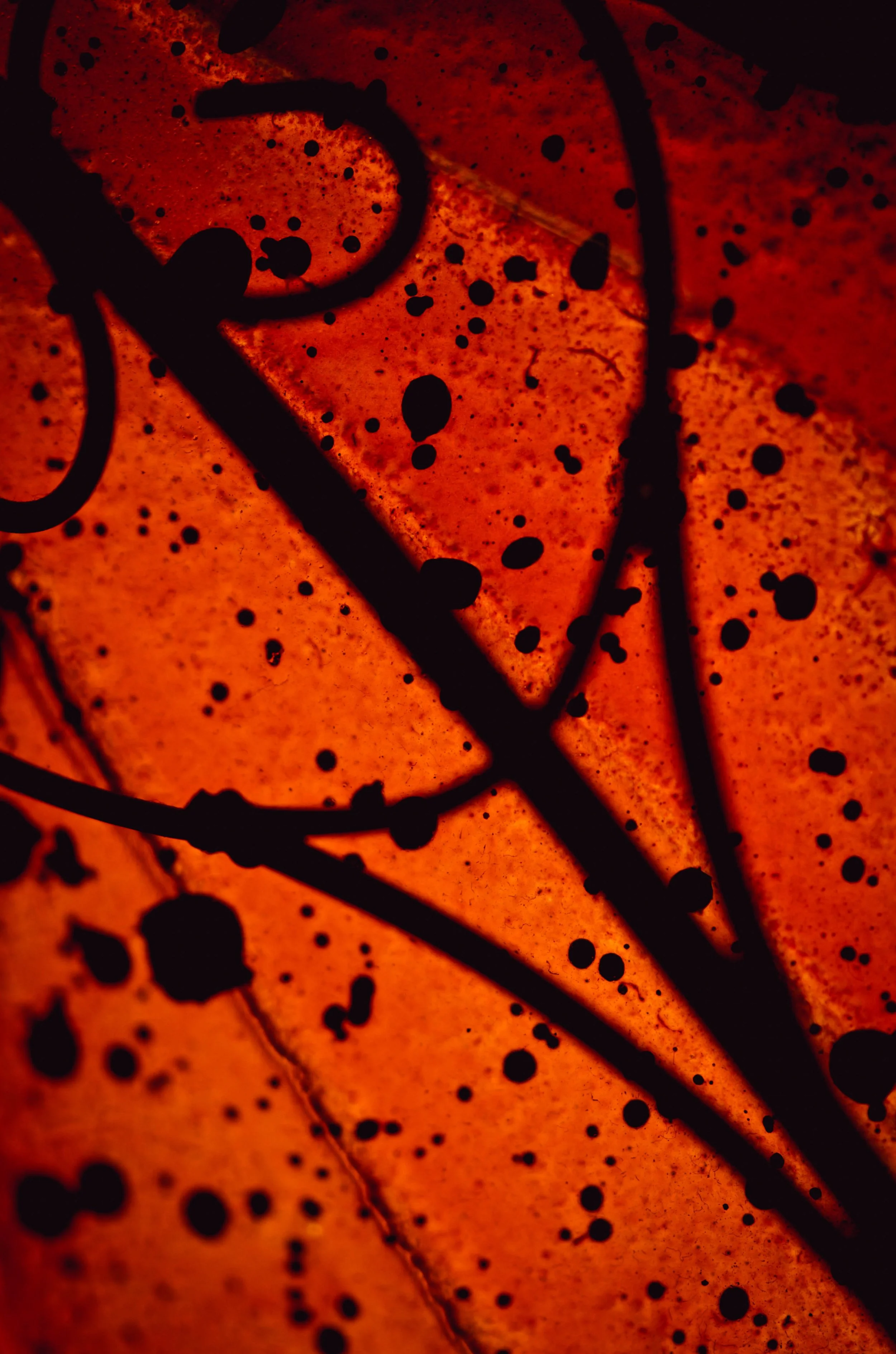 LeiLani-Ink Photography-0084.jpg