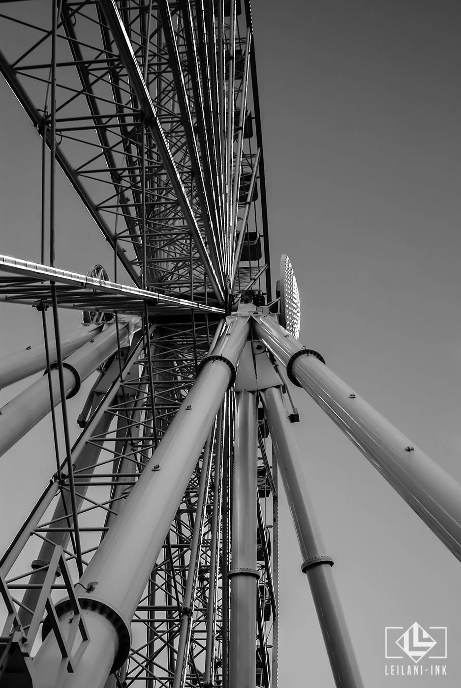 LeiLani-Ink Photography-75.jpg