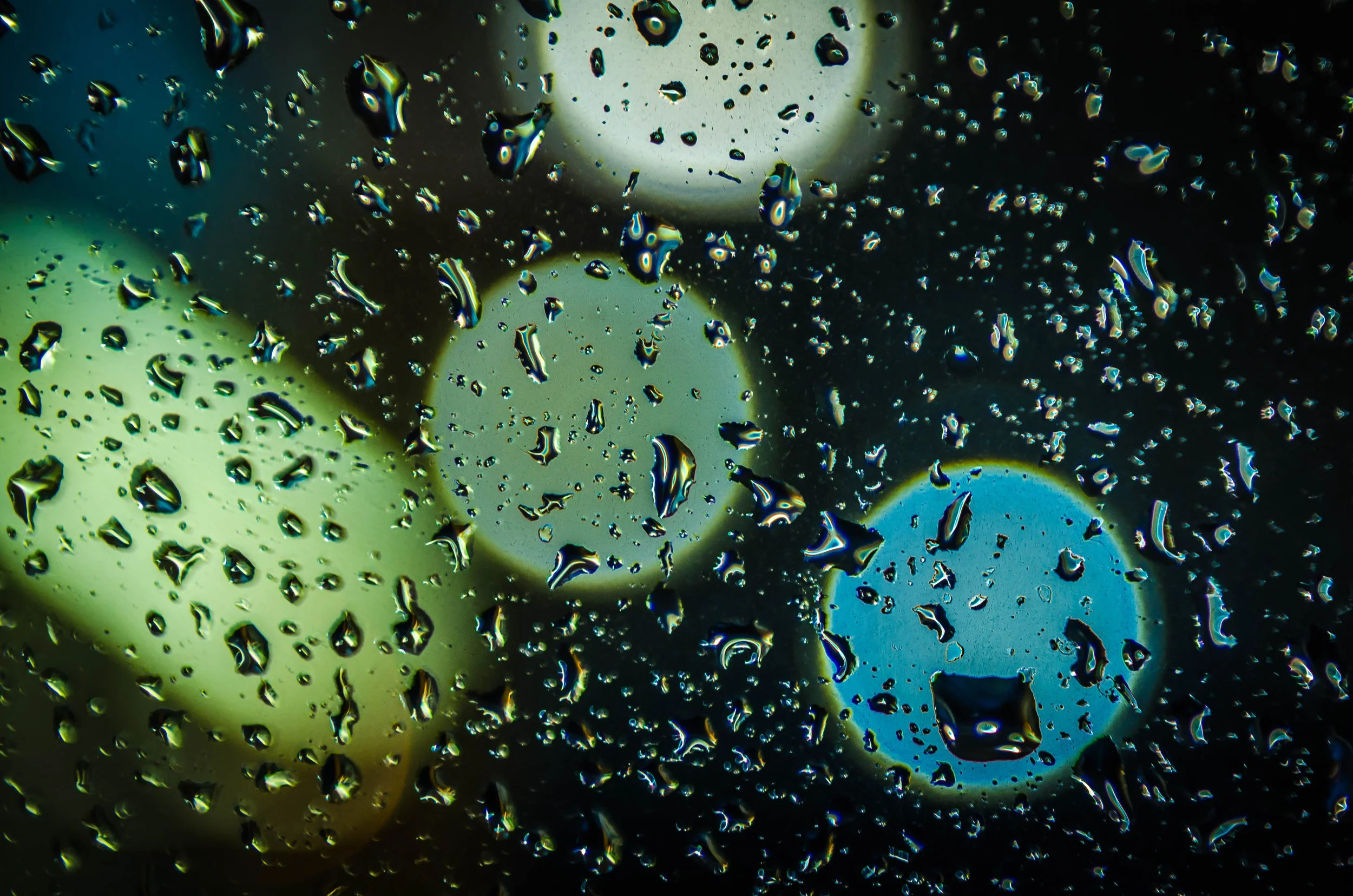 LeiLani-Ink Photography-8562.jpg