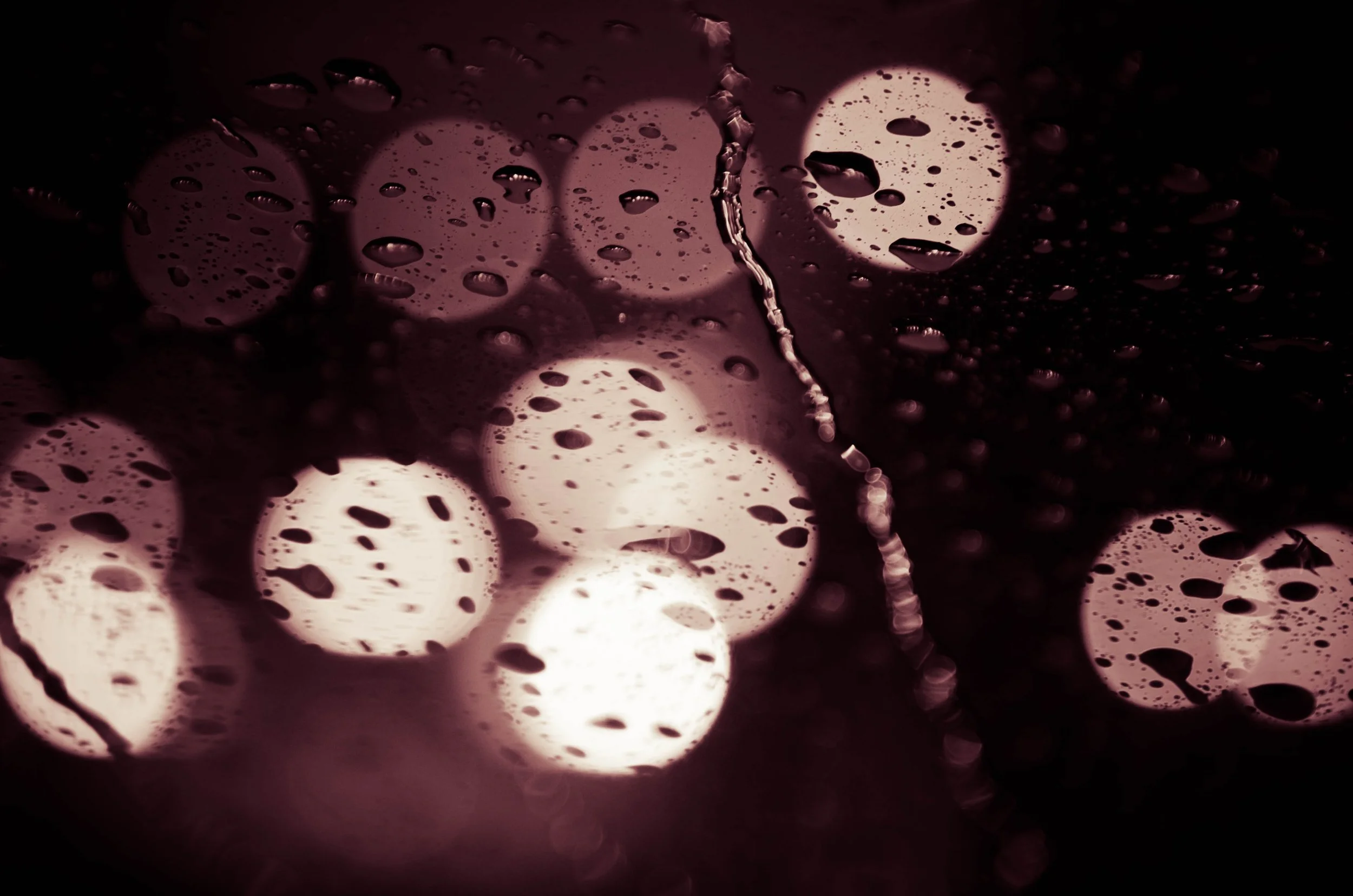 LeiLani-Ink Photography-8579.jpg