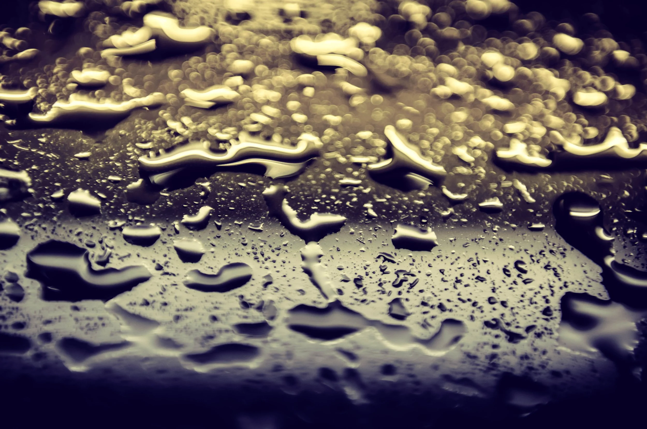 LeiLani-Ink Photography-8660.jpg