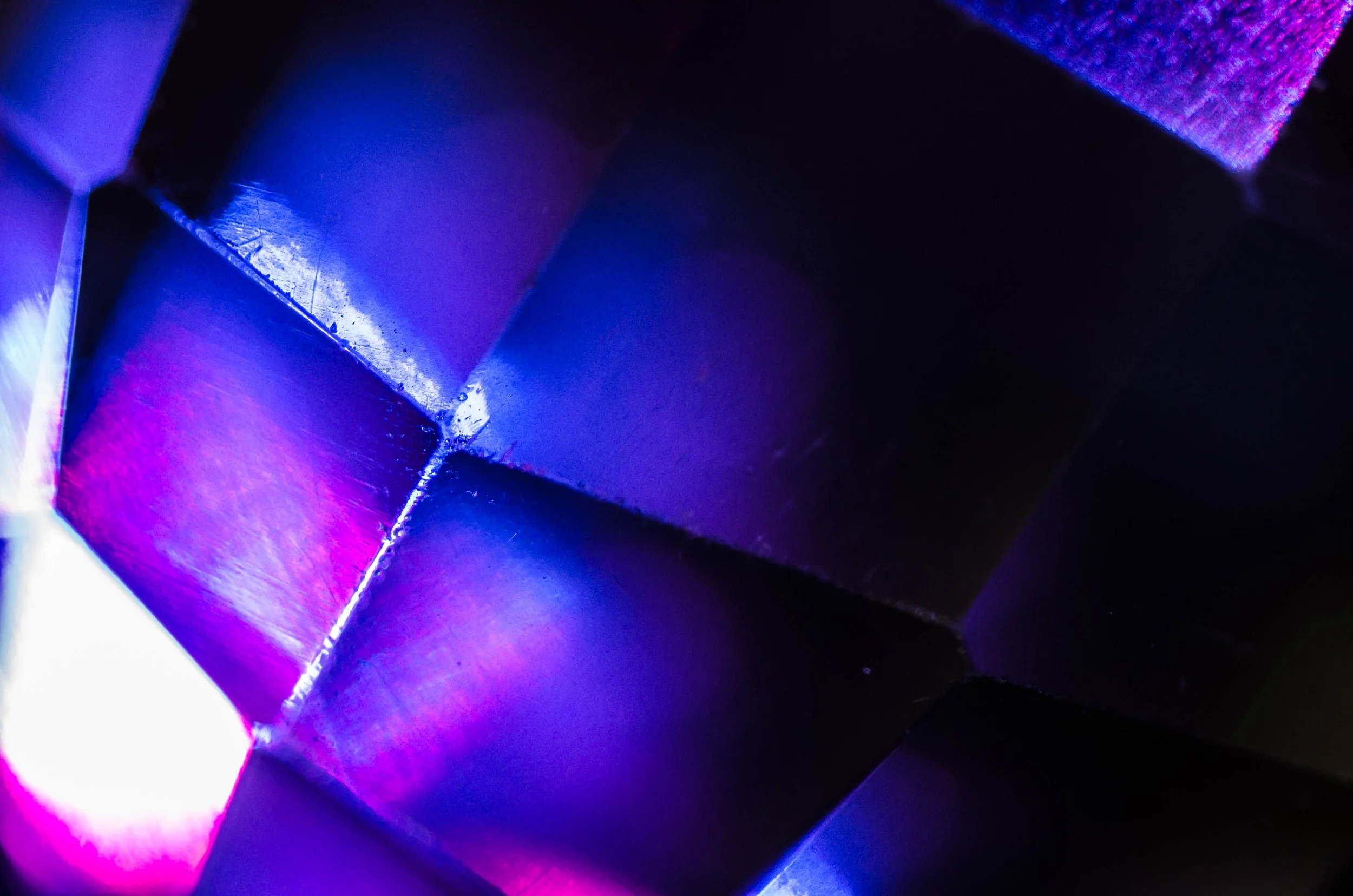 LeiLani-Ink Photography-6454.jpg