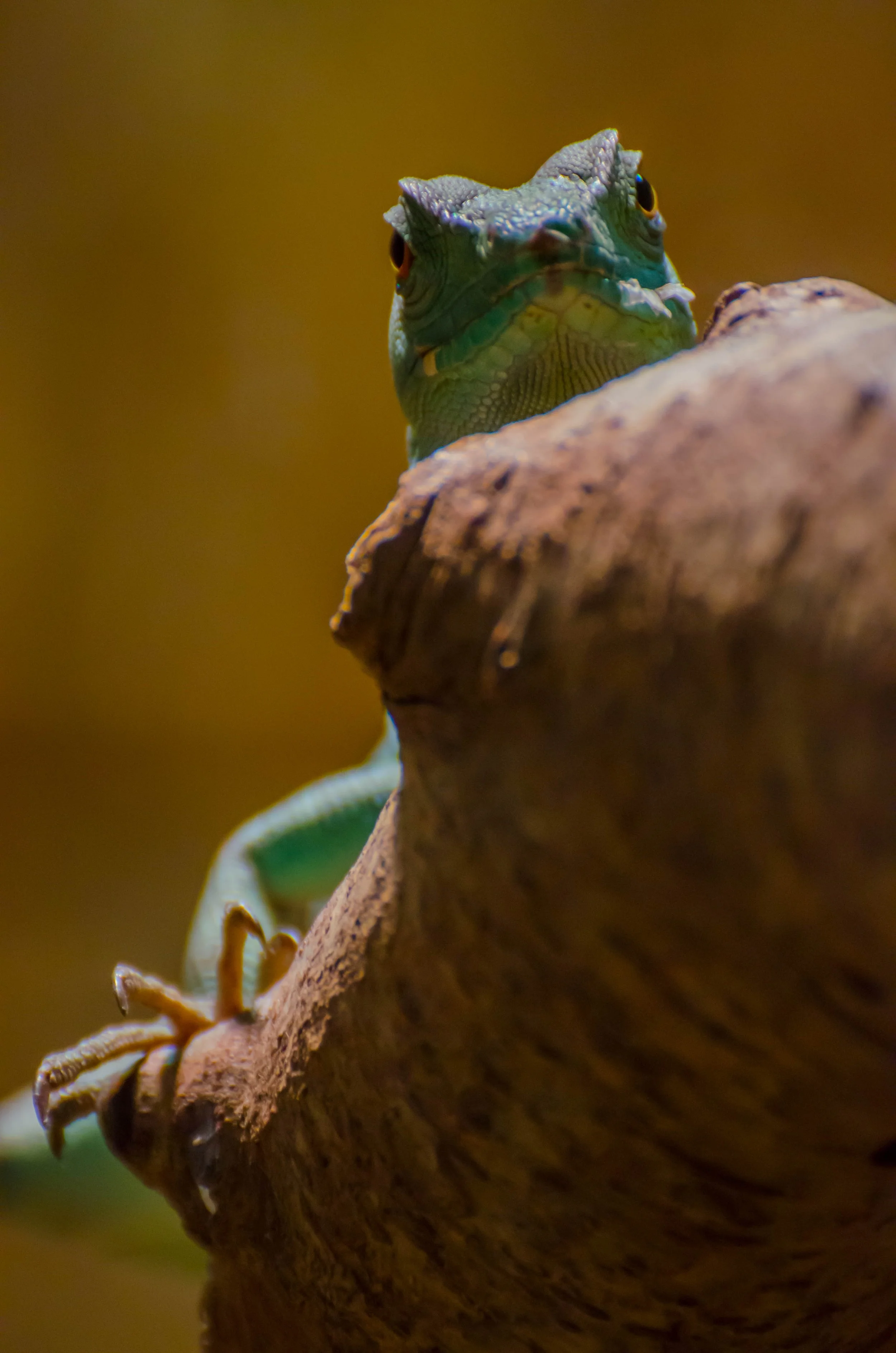 LeiLani-Ink Photography-0519.jpg