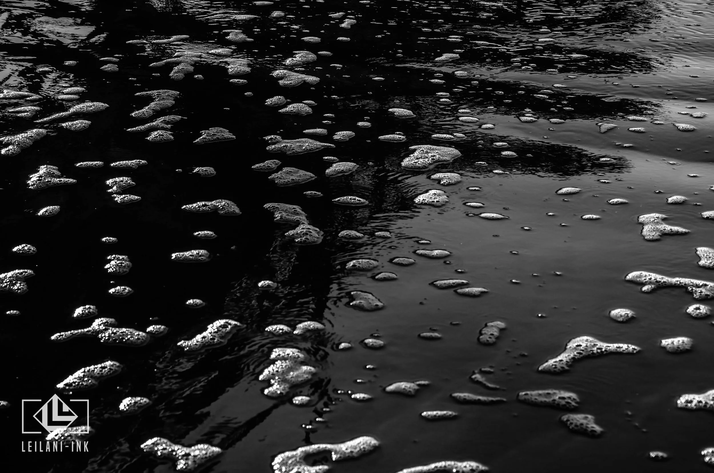 LeiLani-Ink Photography-7258.jpg