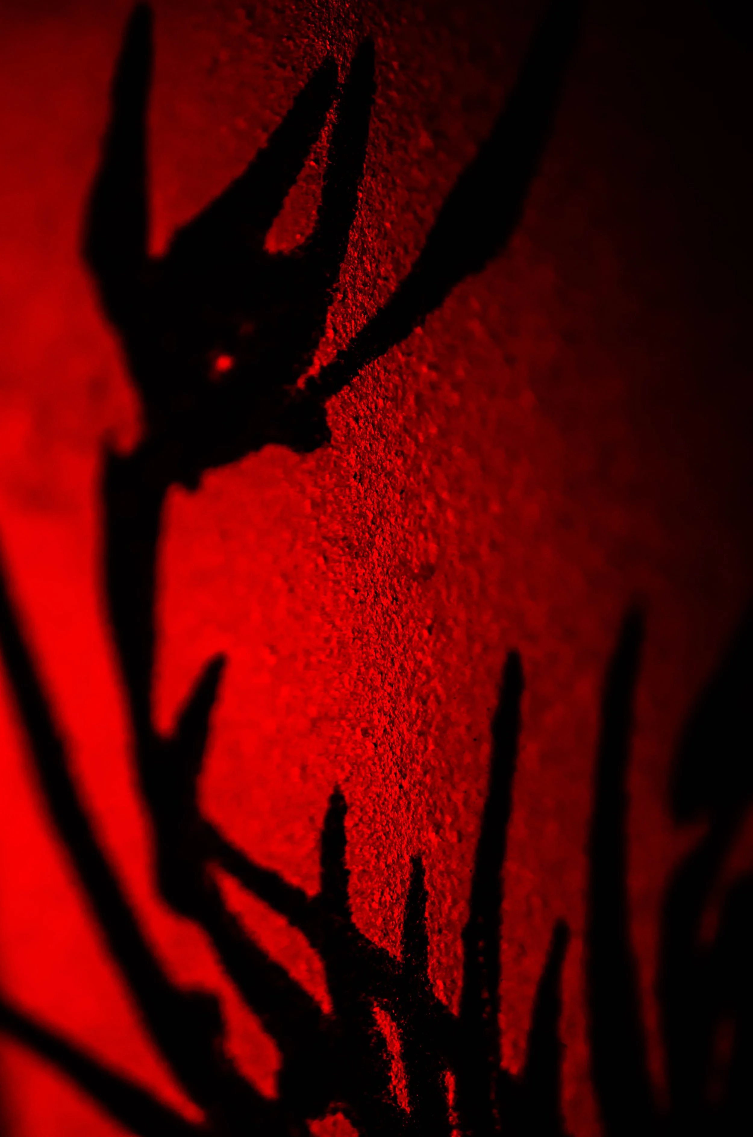 LeiLani-Ink Photography-0111.jpg