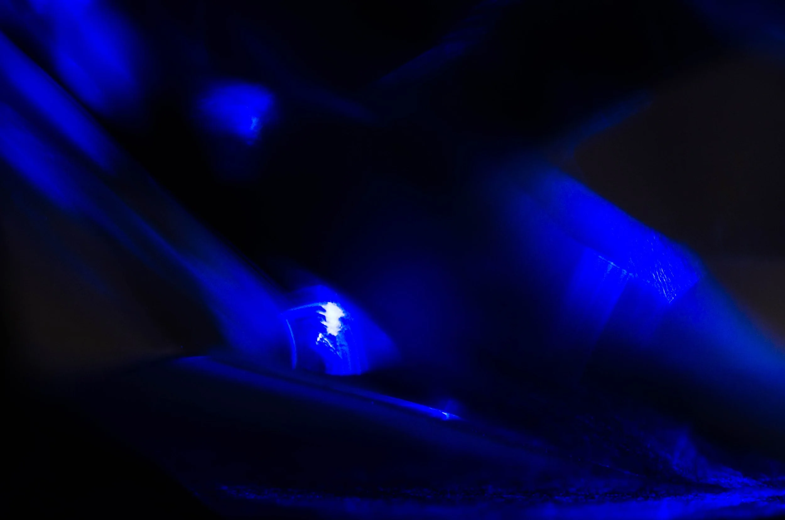 LeiLani-Ink Photography-6431.jpg