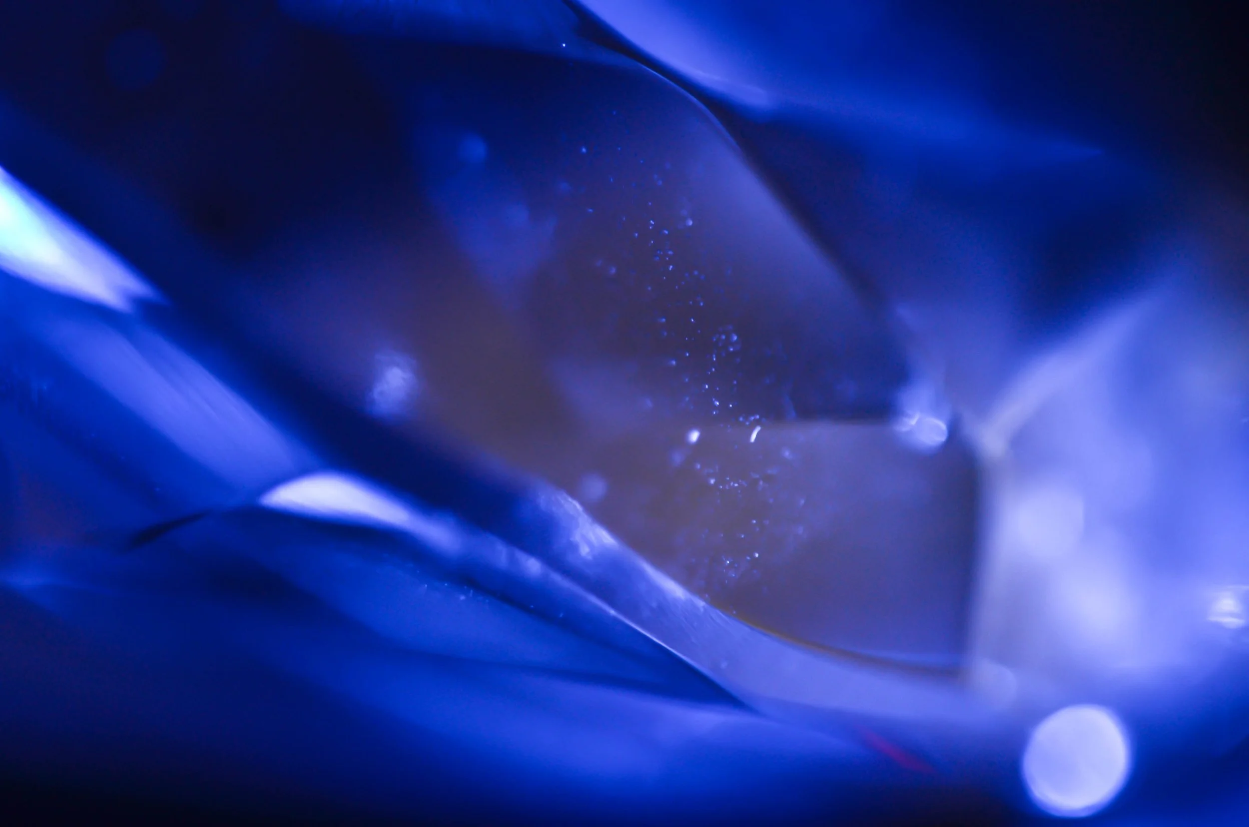 LeiLani-Ink Photography-6433.jpg