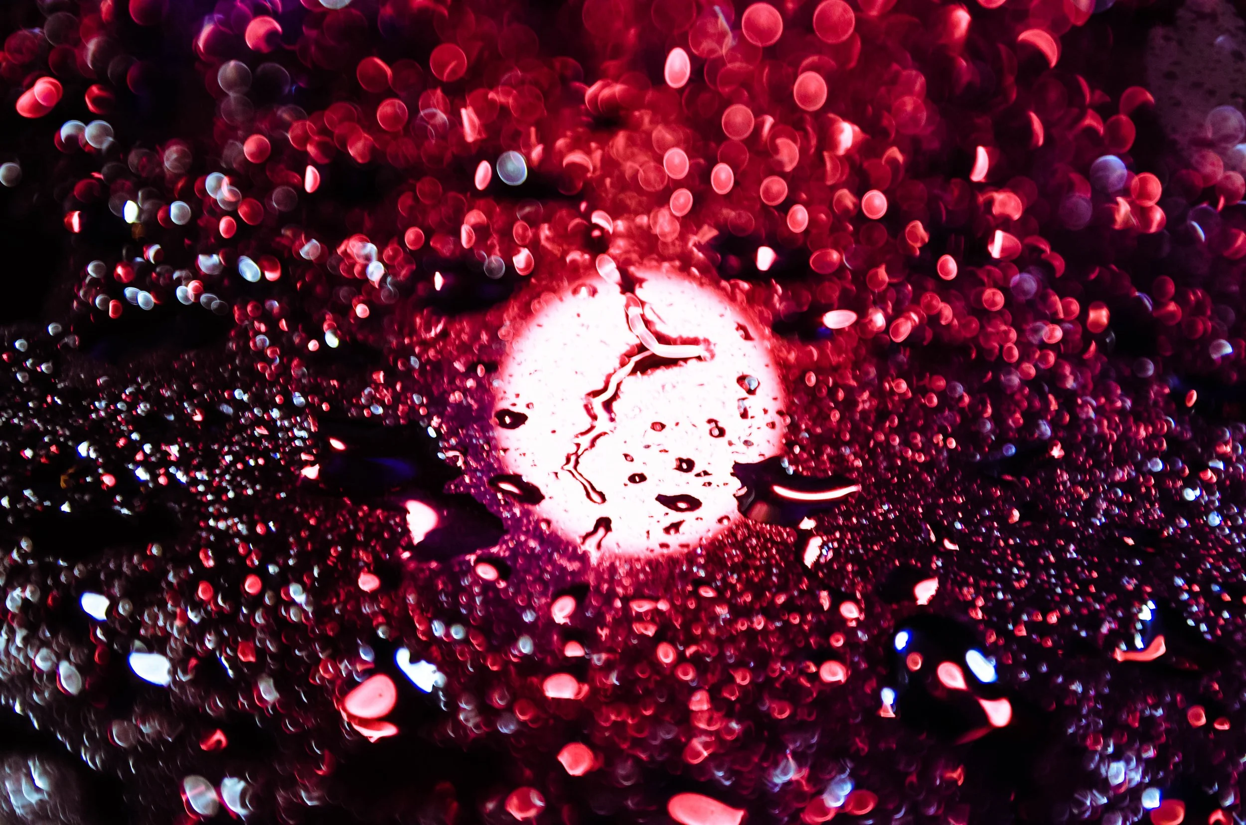 LeiLani-Ink Photography-8625.jpg