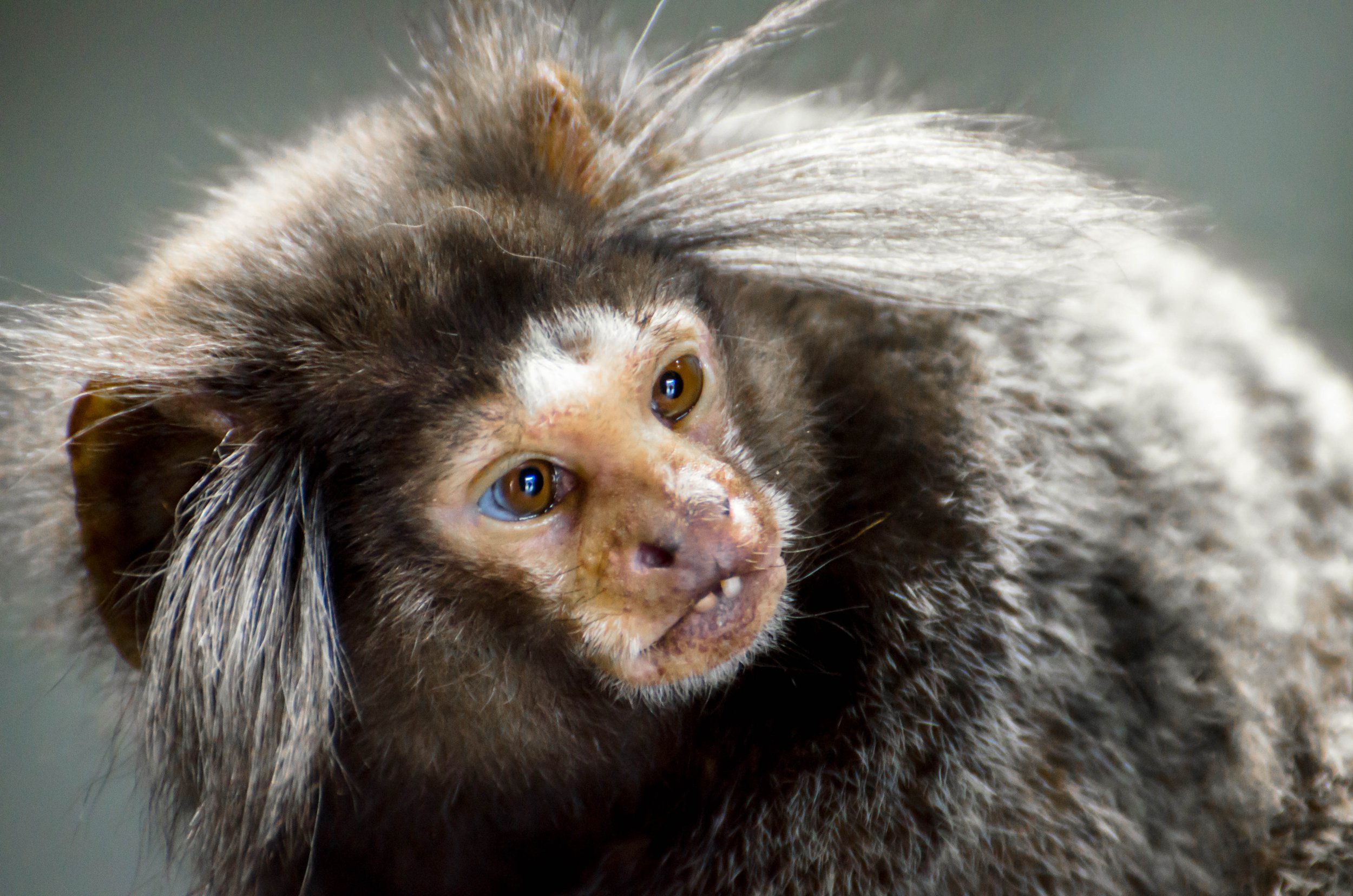 LeiLani-Ink Photography-0339.jpg