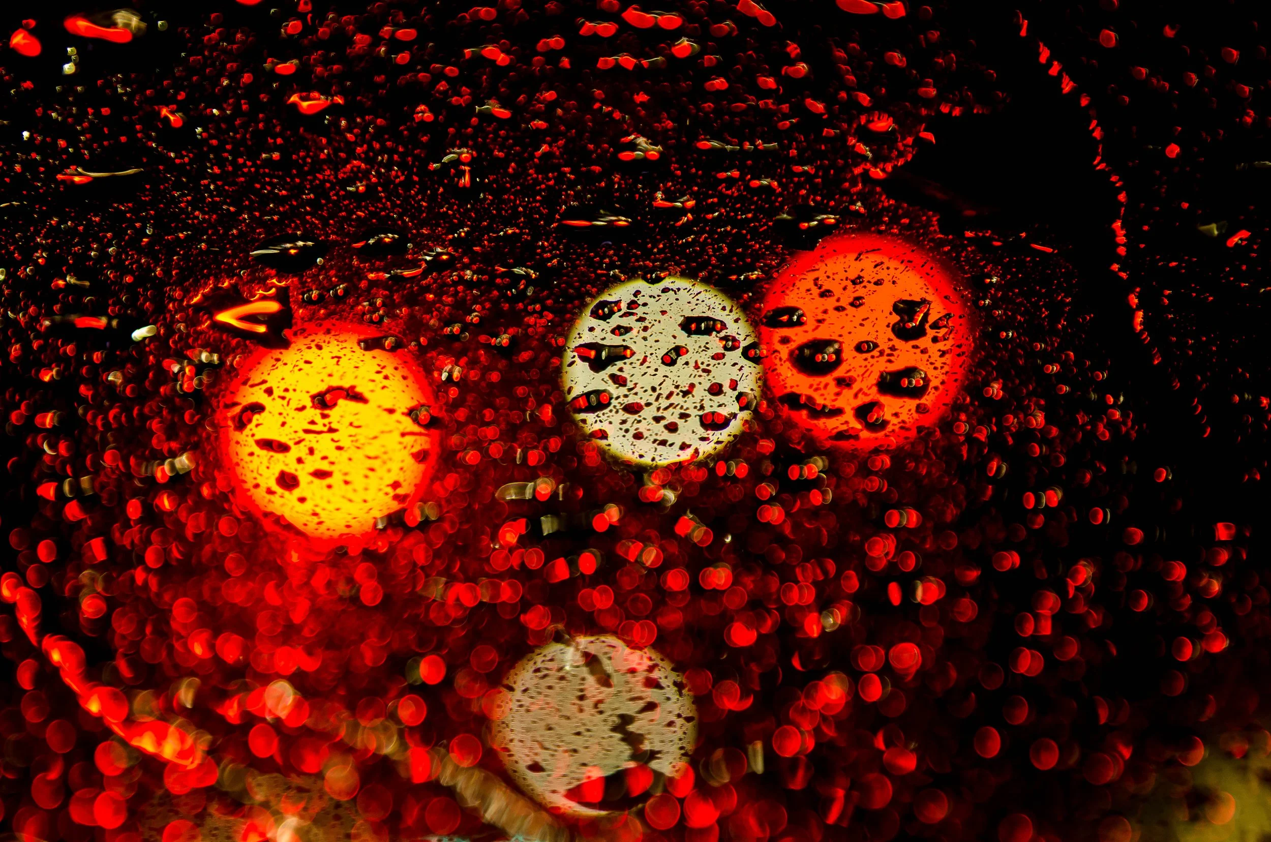 LeiLani-Ink Photography-8617.jpg