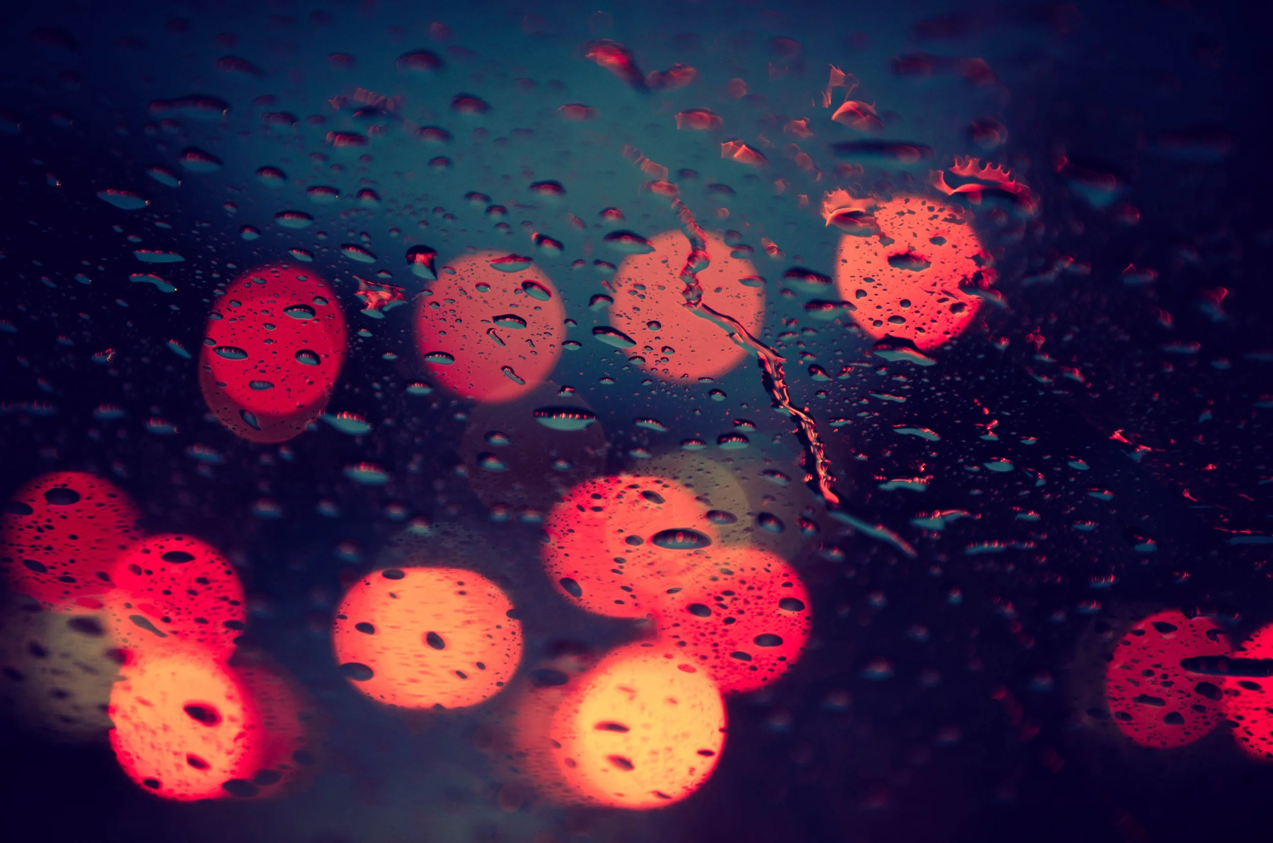 LeiLani-Ink Photography-8567.jpg