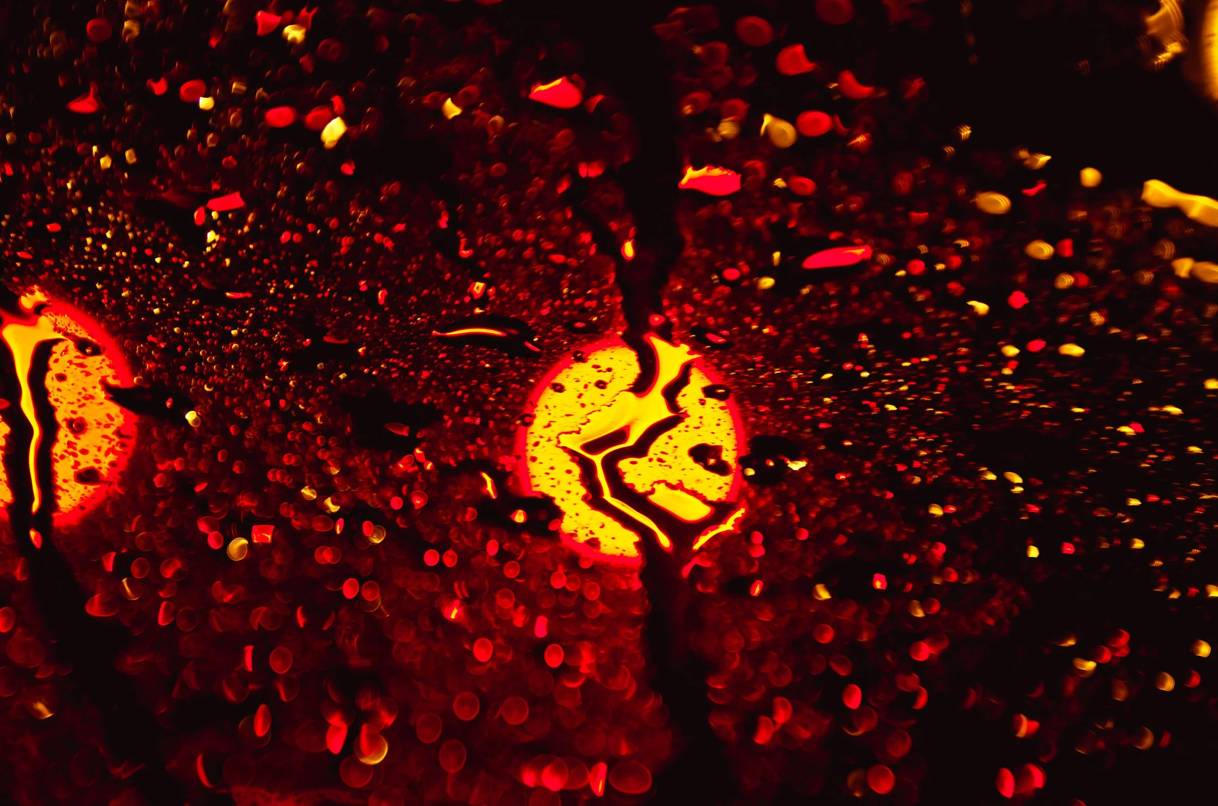 LeiLani-Ink Photography-8622.jpg