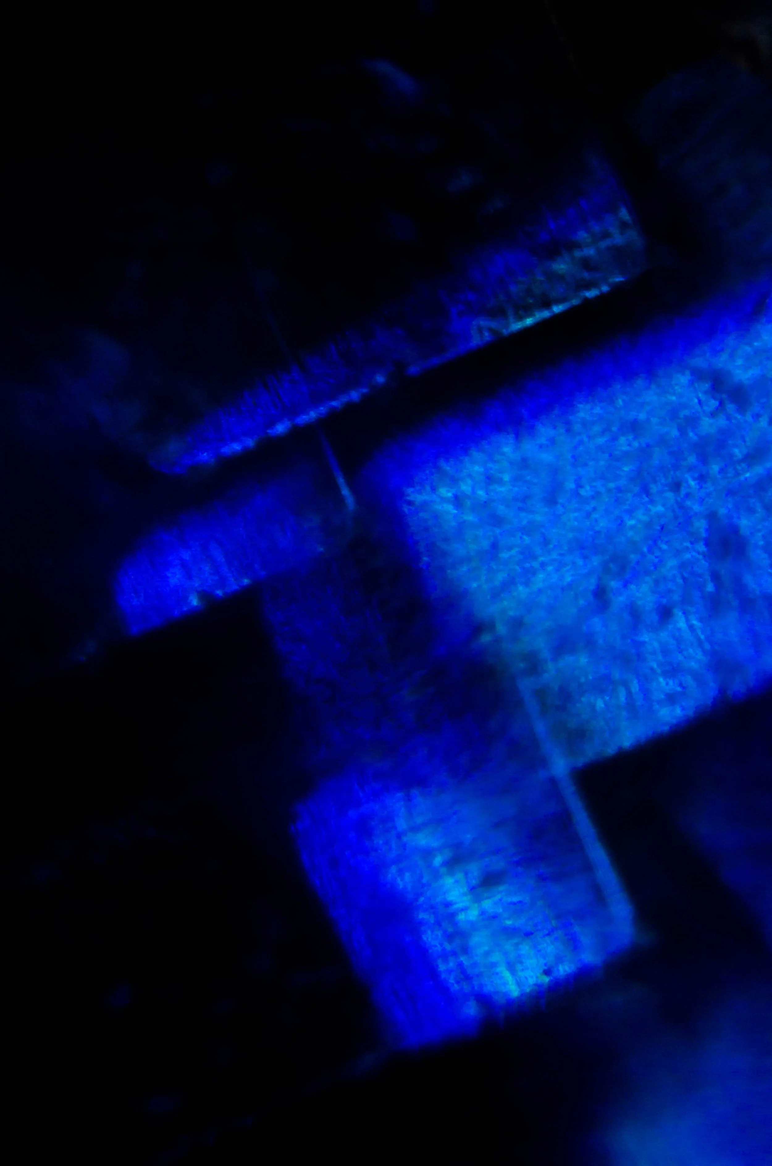 LeiLani-Ink Photography-6444.jpg