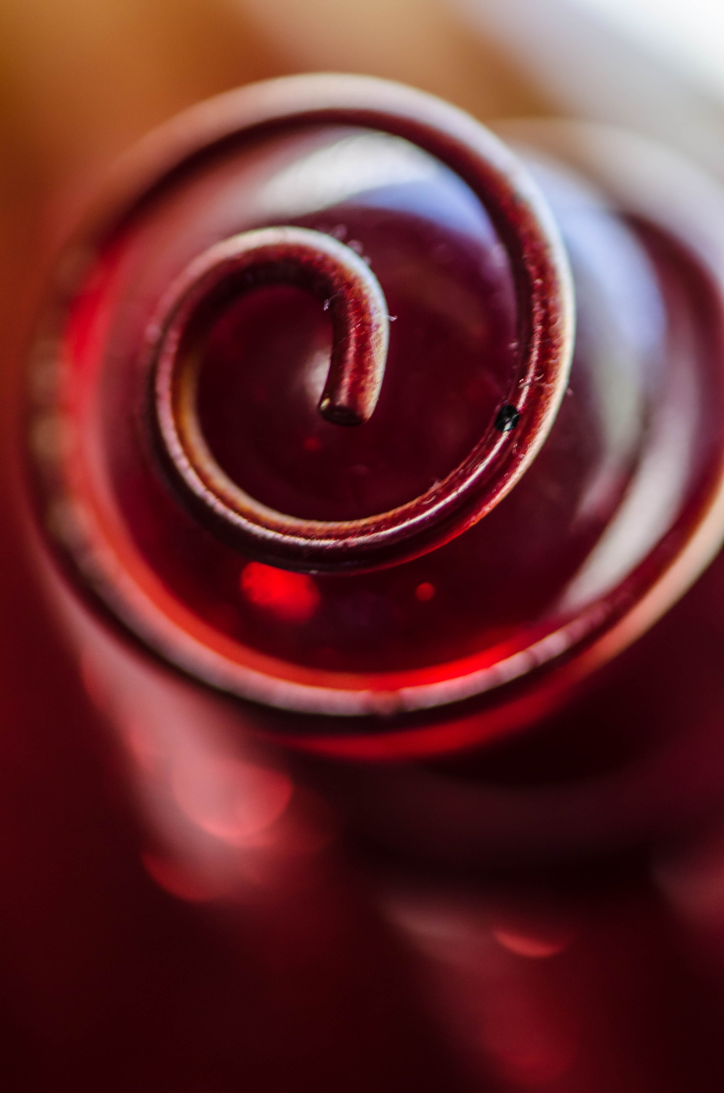 LeiLani-Ink Photography-0088.jpg