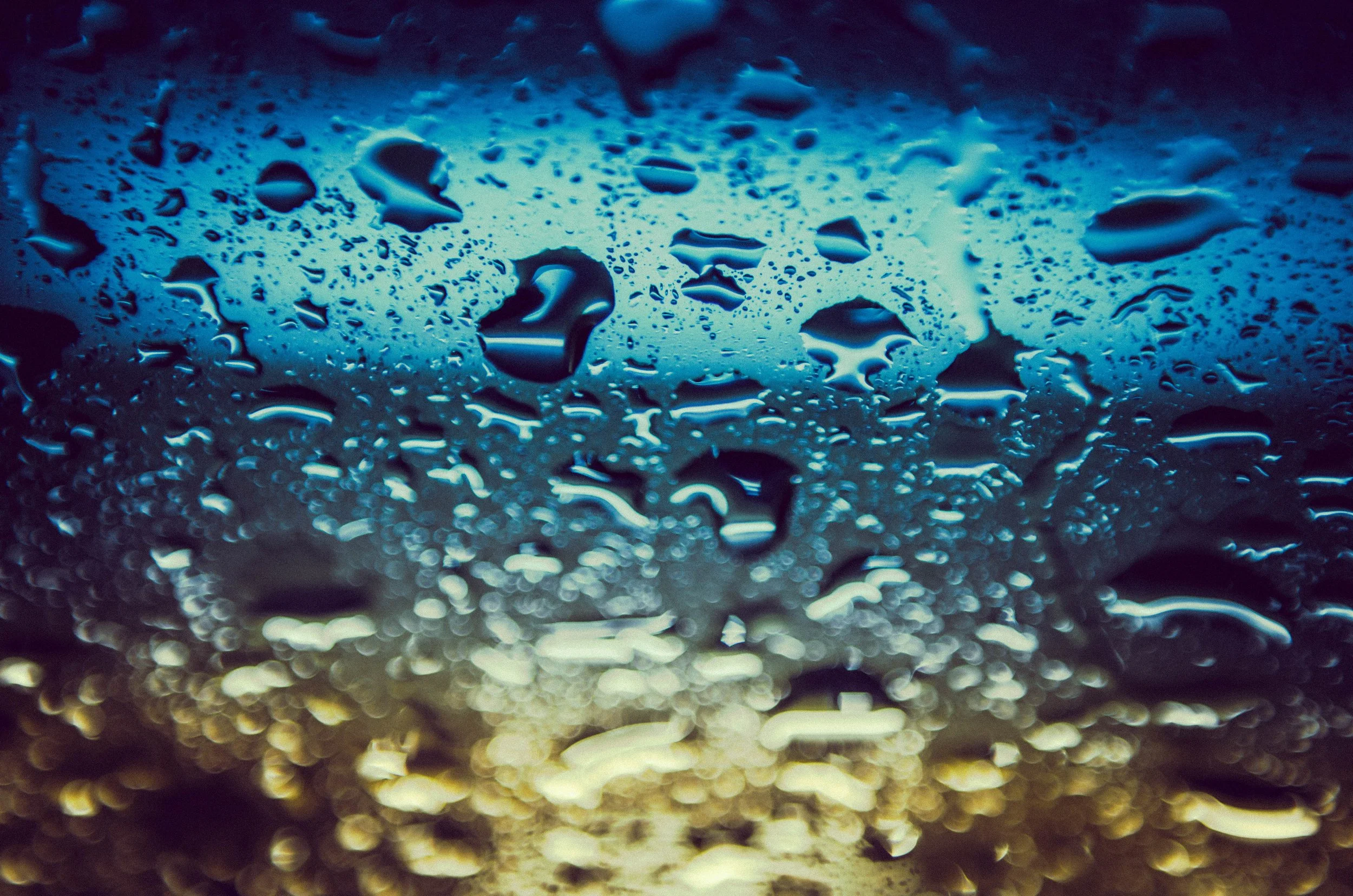 LeiLani-Ink Photography-8645.jpg