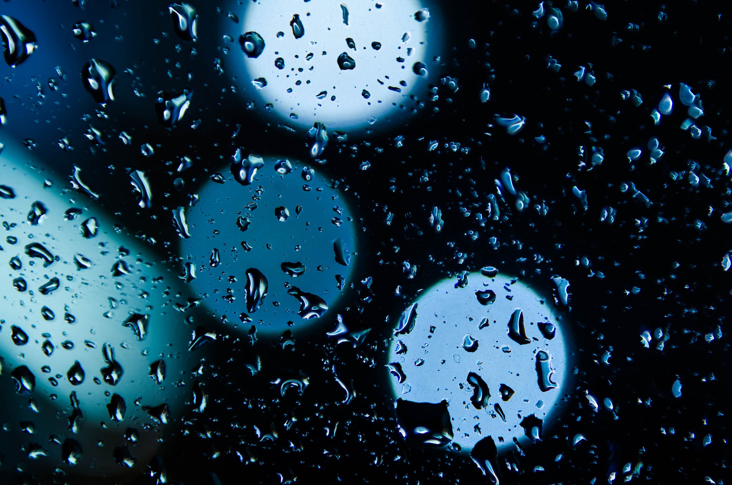 LeiLani-Ink Photography-8560.jpg