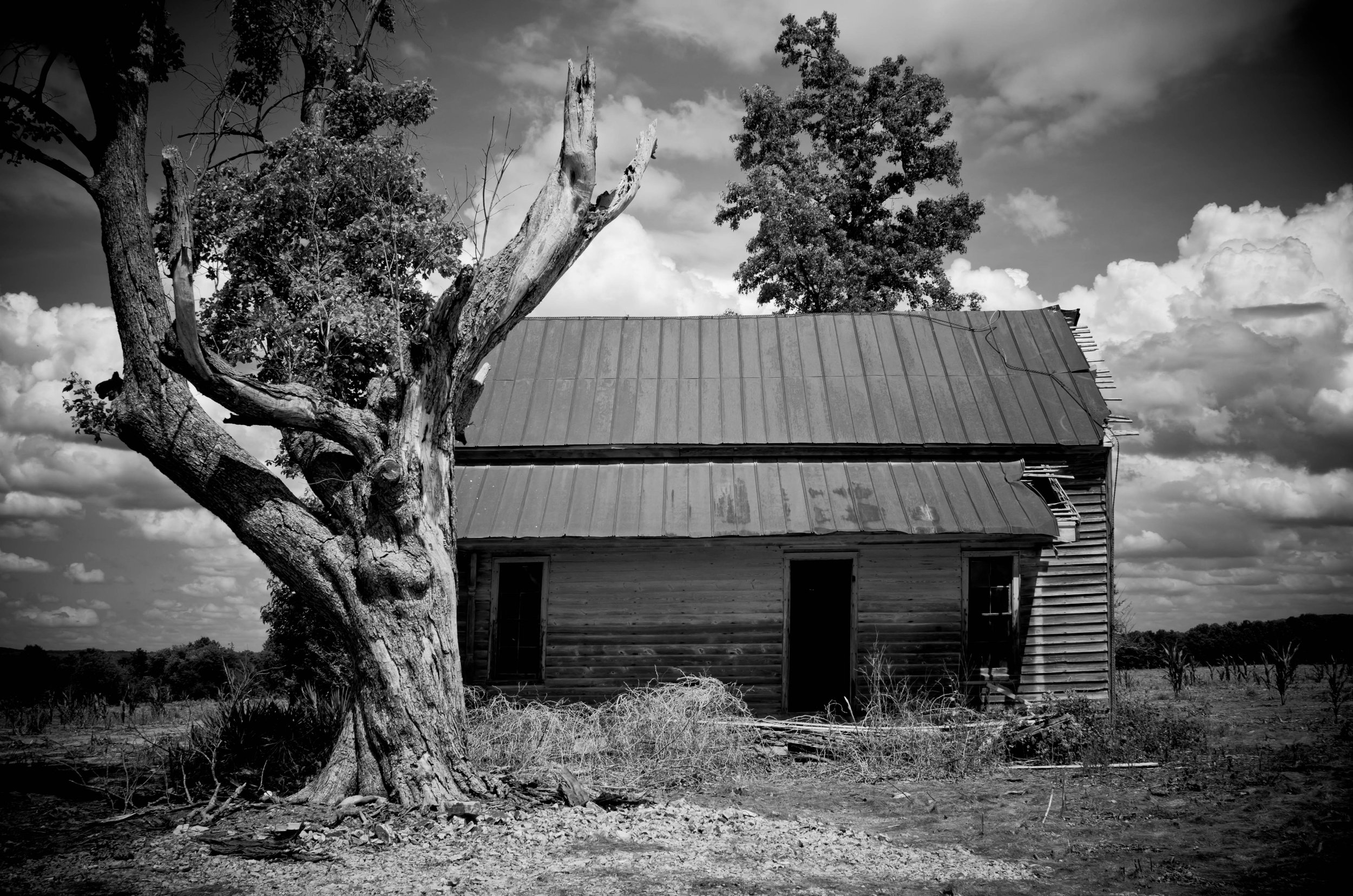 LeiLani-Ink Photography-8297.jpg