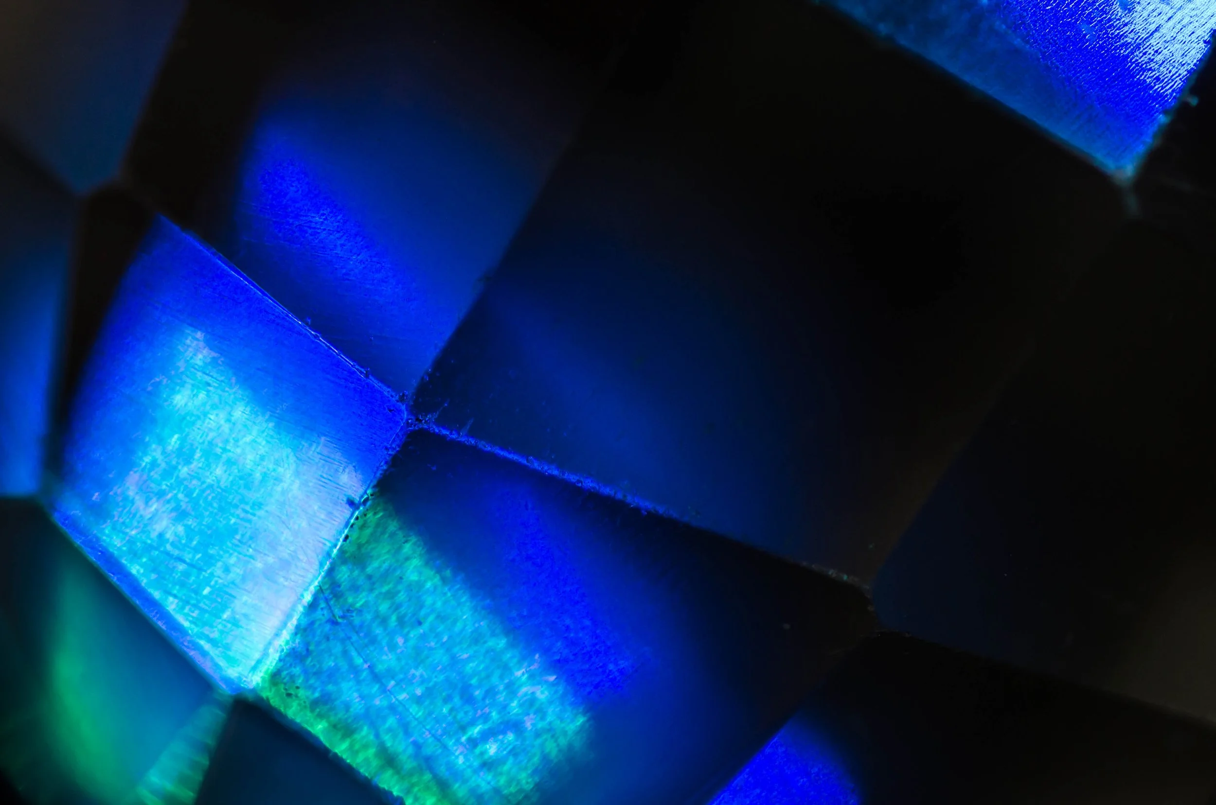 LeiLani-Ink Photography-6449.jpg