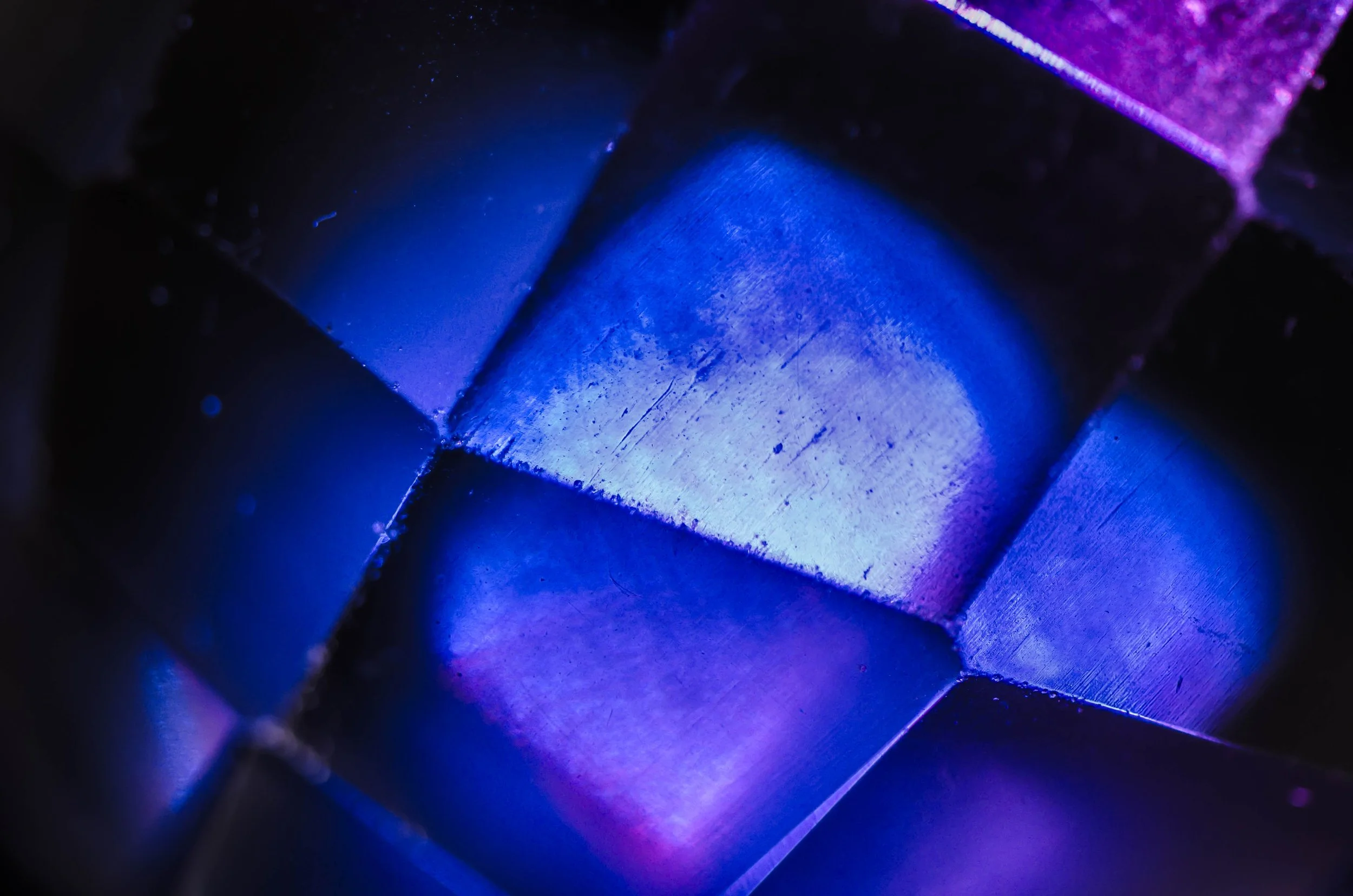 LeiLani-Ink Photography-6457.jpg