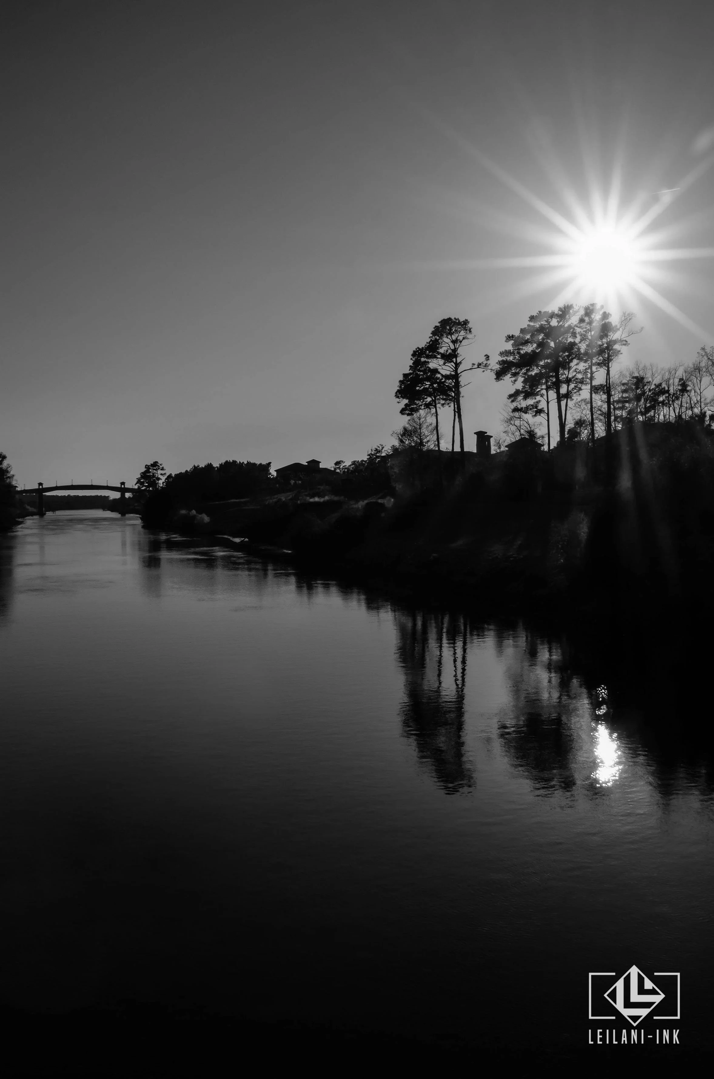 LeiLani-Ink Photography-2.jpg