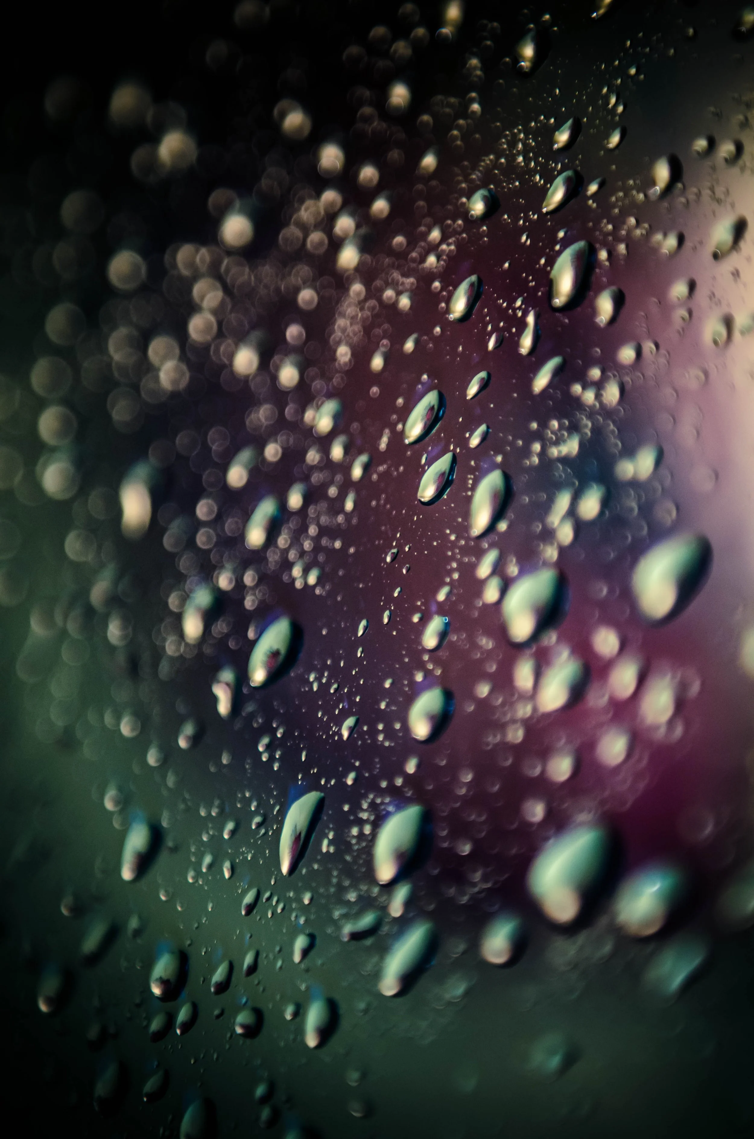 LeiLani-Ink Photography-8675.jpg