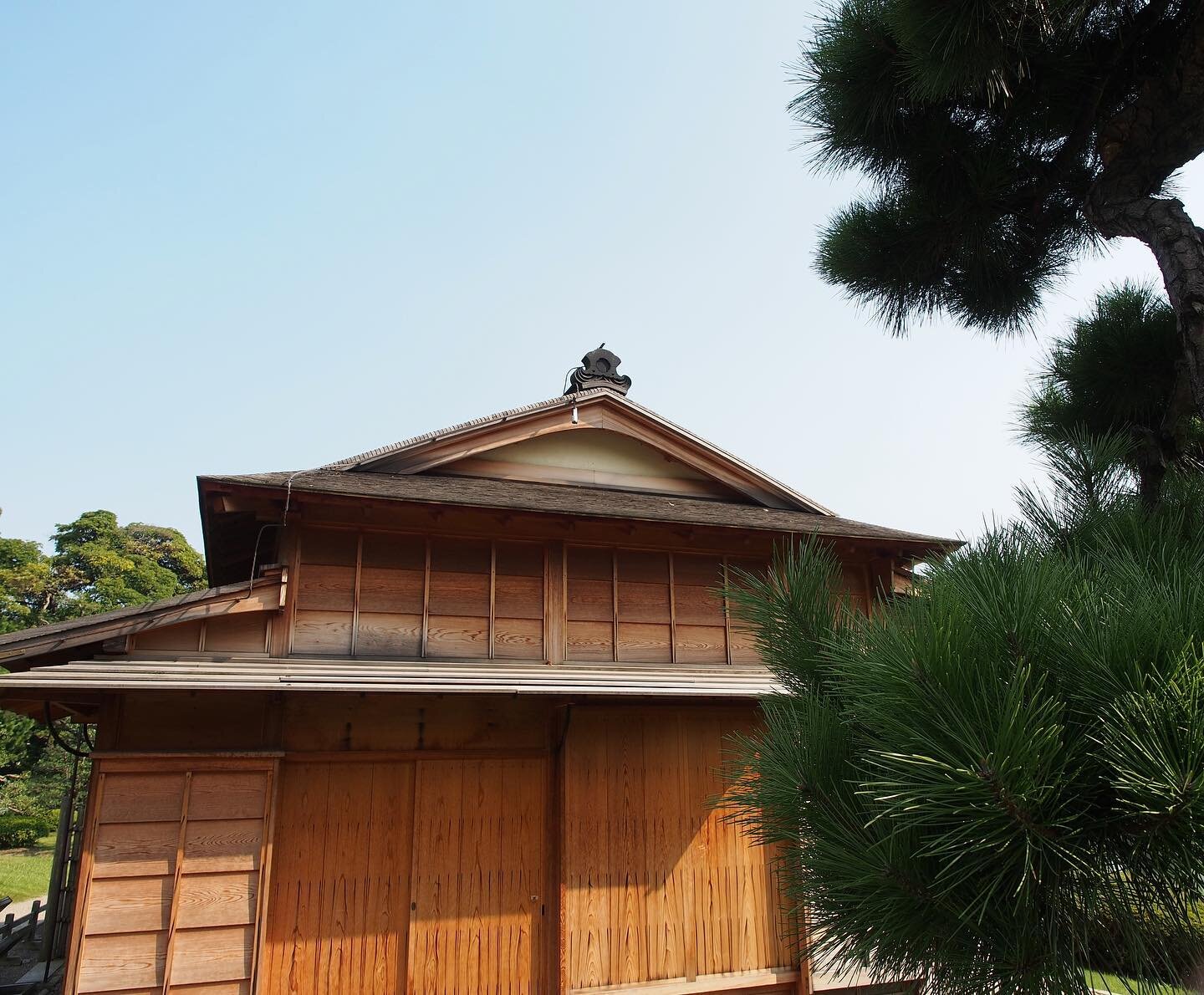 Hama-rikyu Gardens is perfect for quiet strolling, rich with wildlife, seasonal flowers, tidal ponds and an elegant tea house, surrounded by skyscrapers, offering a unique juxtaposition of natural tranquility and urban energy.
The garden paths lead