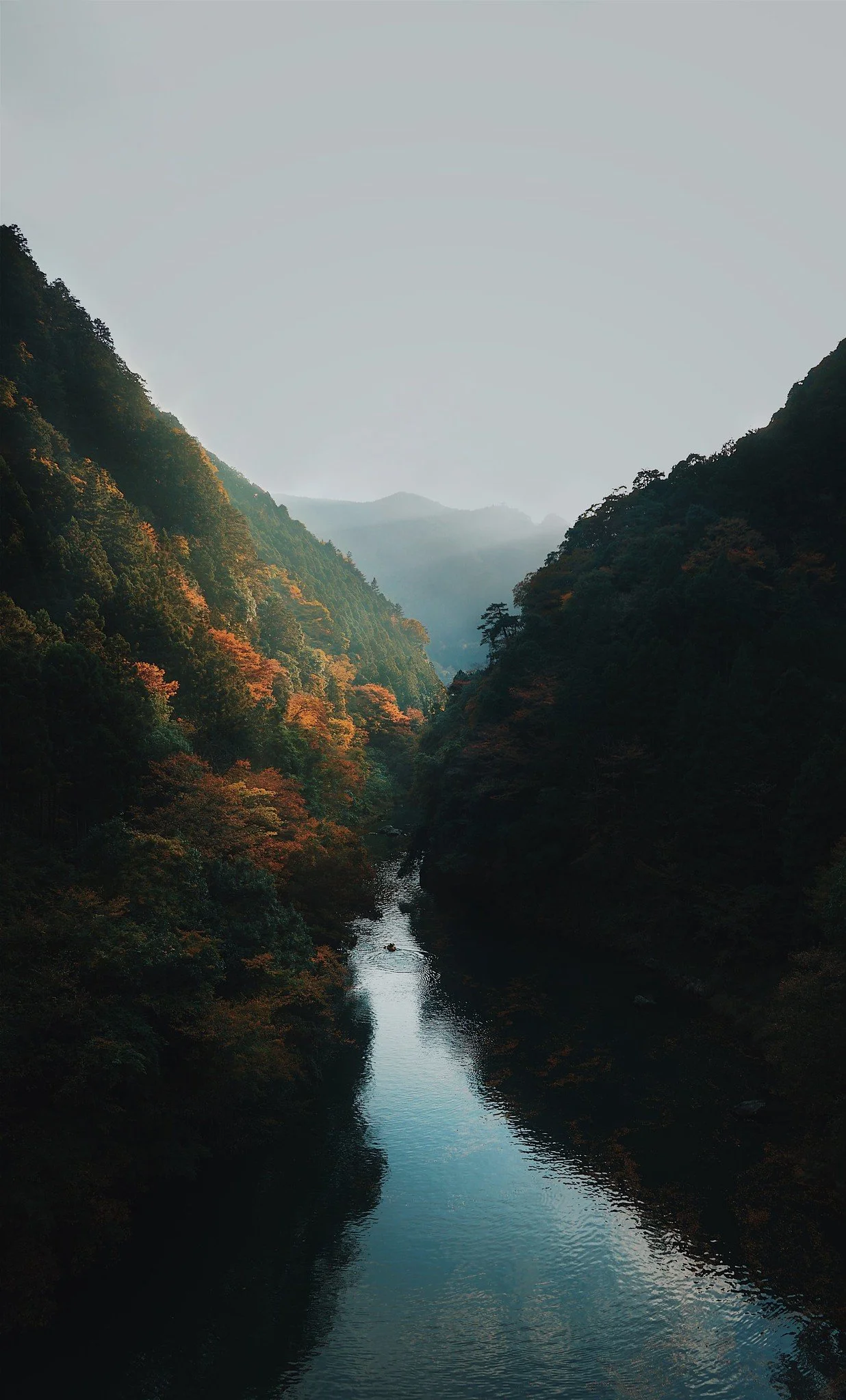 A river flowing through a deep valley surrounded by forested mountains with autumn foliage, misty background, and a single boat on the water.