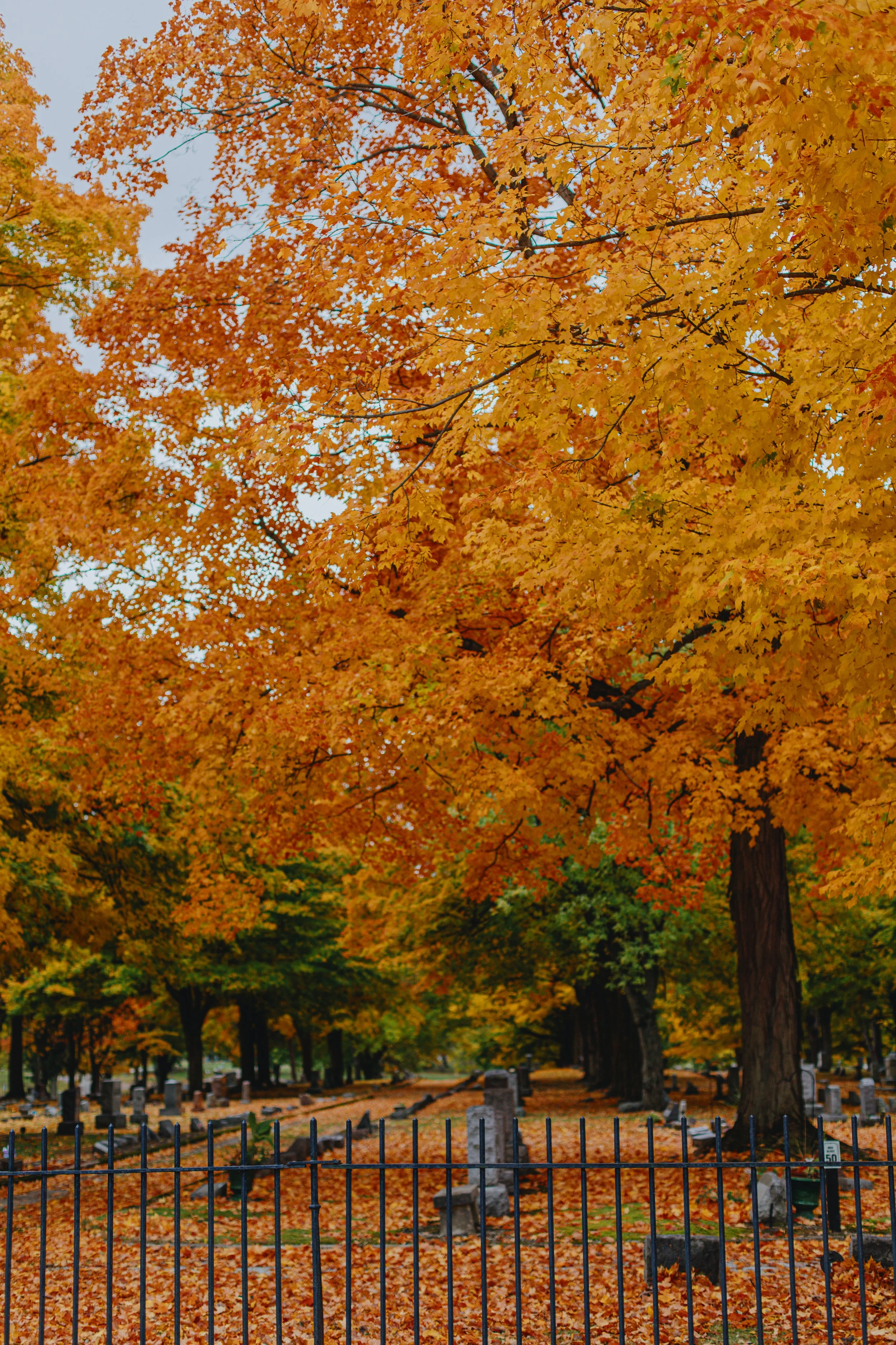 oct2022-6452.jpg