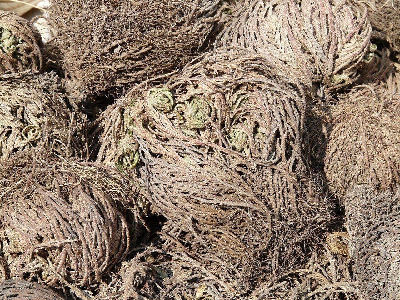 https://i.etsystatic.com/18241441/r/il/f417ef/2035609923/il_fullxfull.2035609923_5pwe.jpg