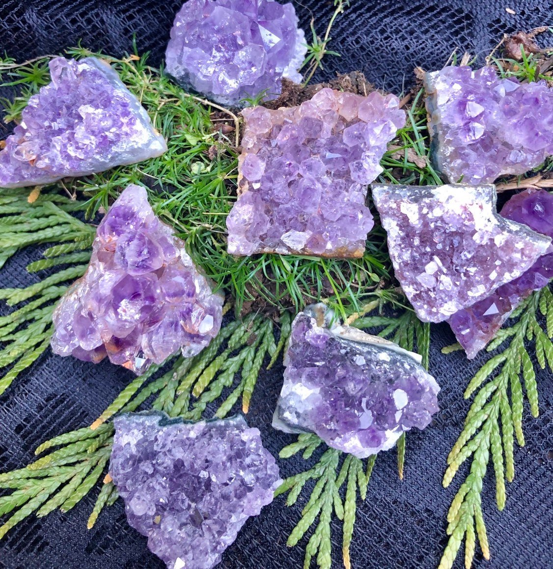 https://i.etsystatic.com/18241441/r/il/d20472/2078501221/il_fullxfull.2078501221_nvoc.jpg