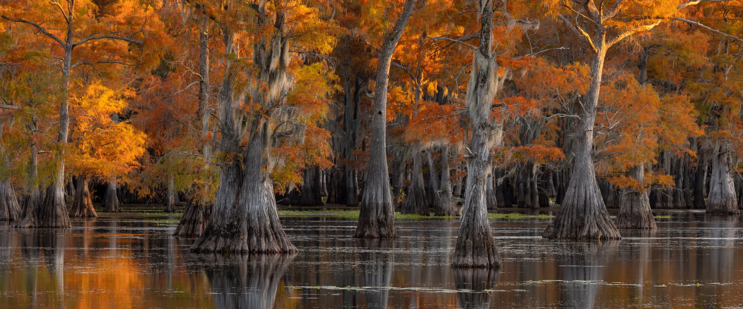 Caddo pano Website.jpg