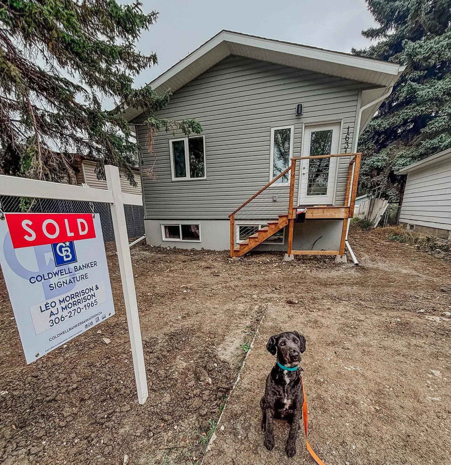 1631 is SOLD! 🥳🐾