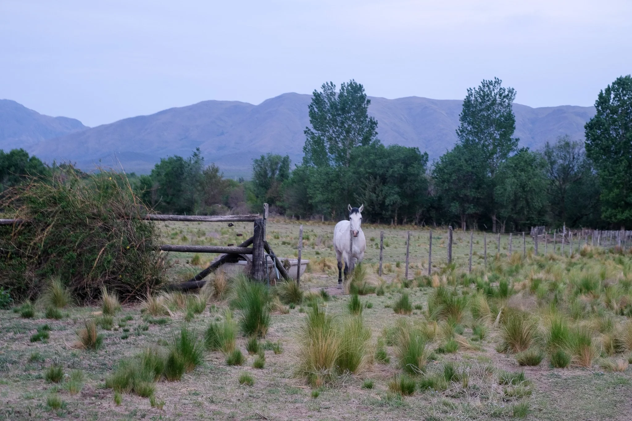 DSCF9407.jpg