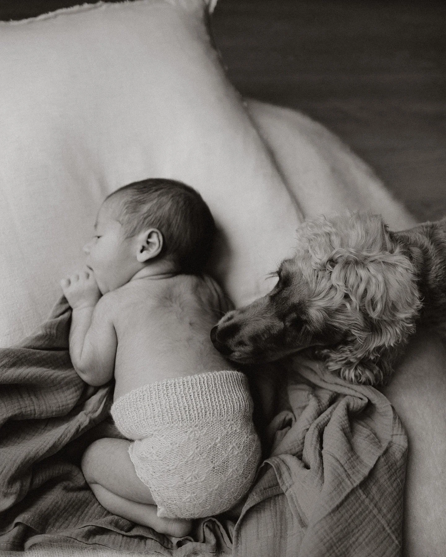 Just a few weeks ago, we were out in the sunshine, capturing the quiet beauty of anticipation 🥰
Now, I’m back—this time inside their home, where love has grown and their tiny new human has arrived 🤍
Of course, their gorgeous pup had t