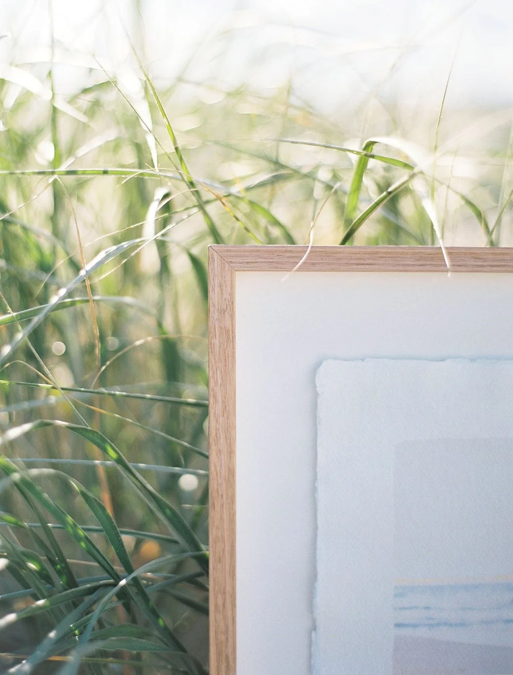 Close-up of a wooden picture frame corner in front of tall grass with blurred background.