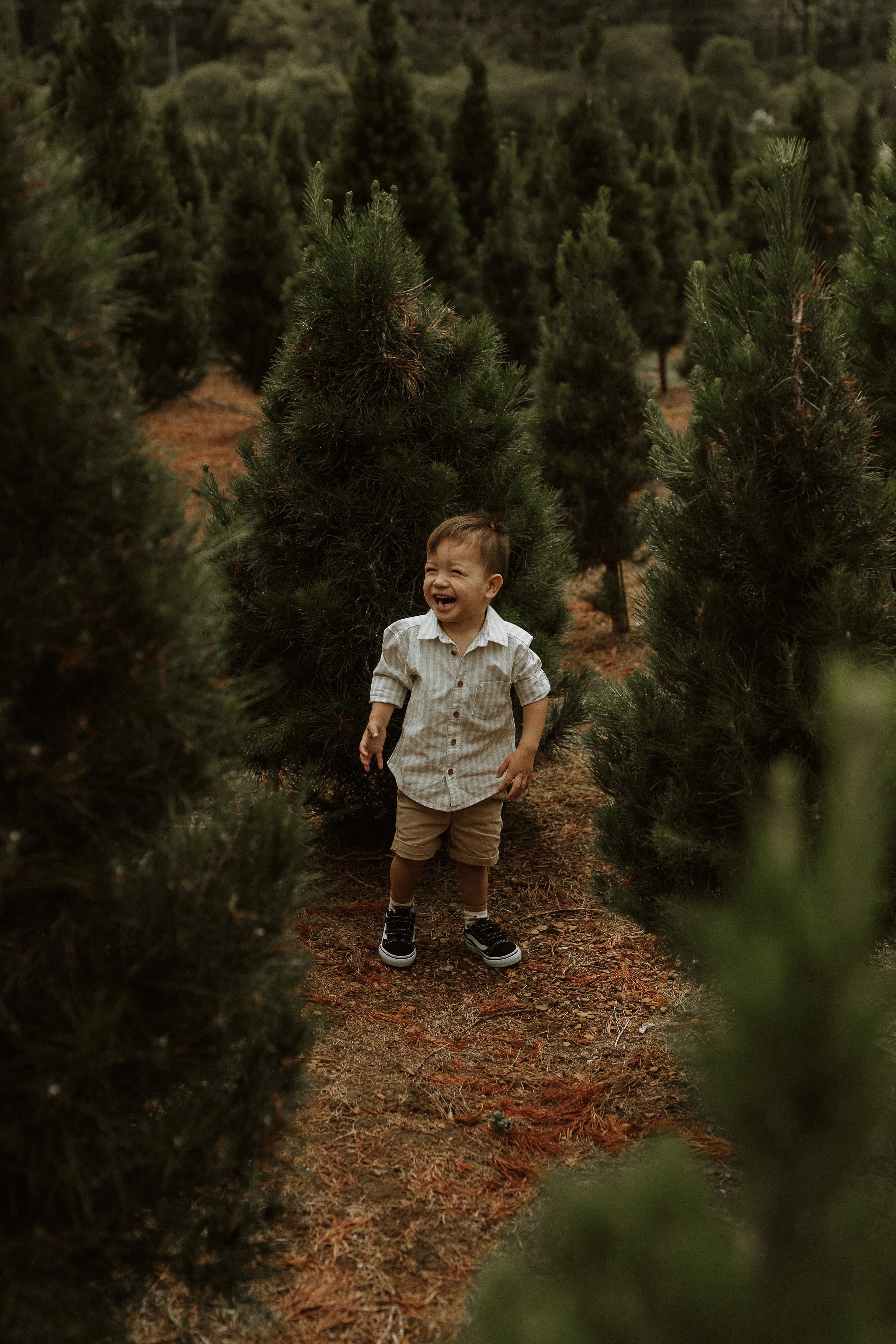 Christmas-Sharon_01112024-4.jpg