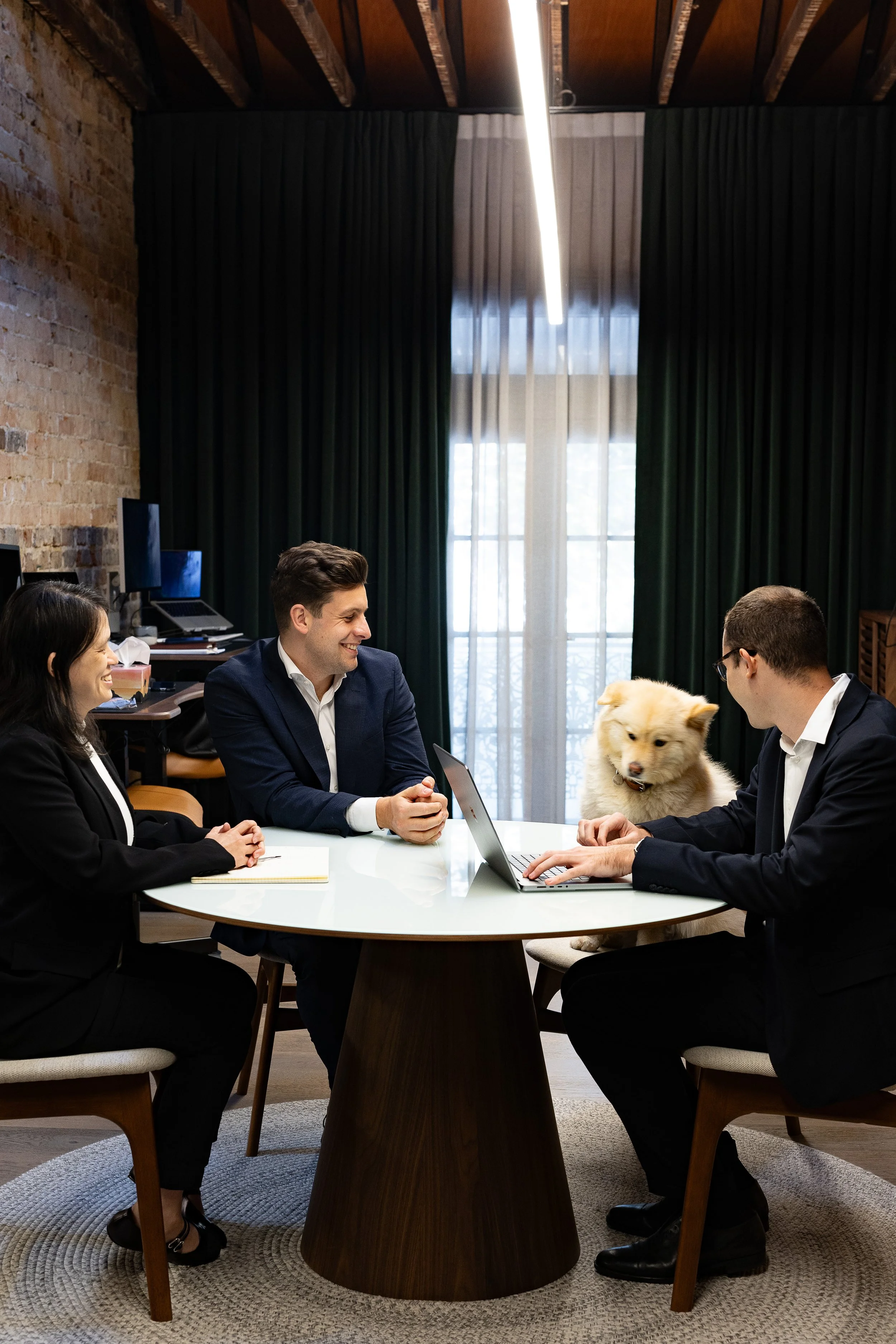 A group of five people sitting around a round table in a meeting room with dark curtains and brick wall, having a discussion. A fluffy dog is sitting on the person's lap at the far right.