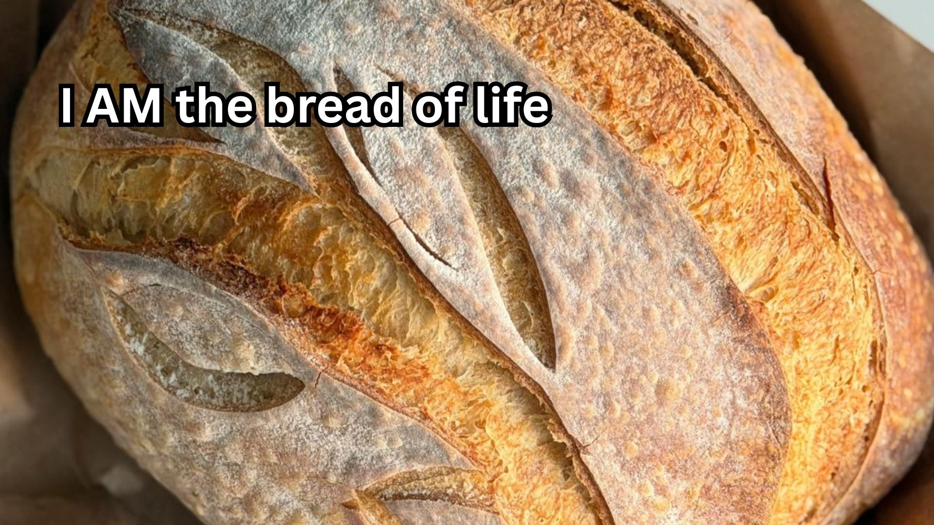 I AM the bread of life