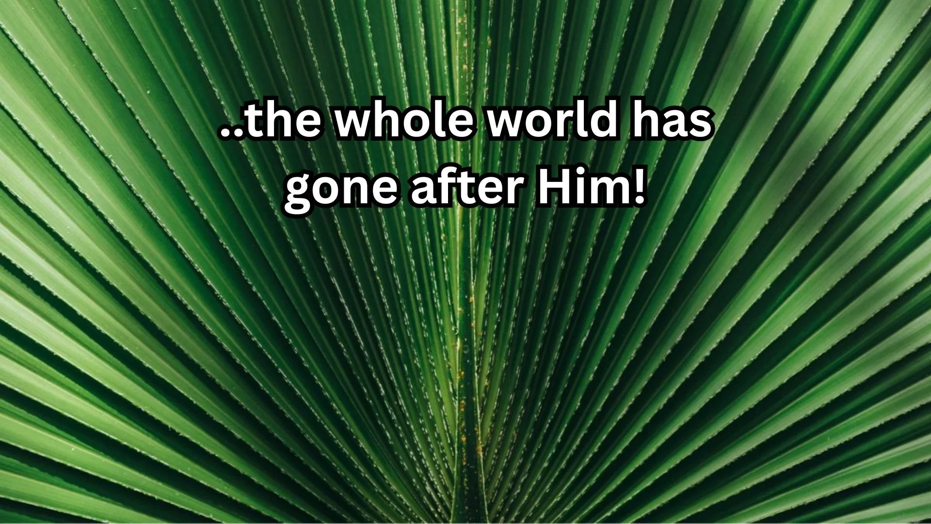 ..the whole world has gone after Him!