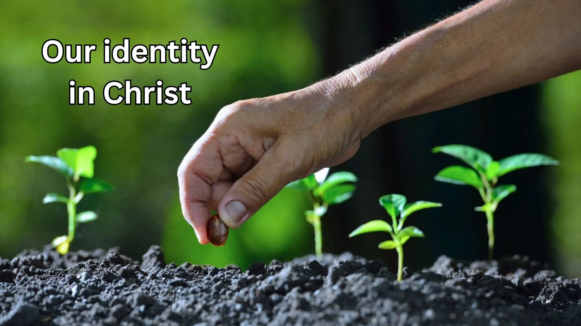 Our identity in Christ