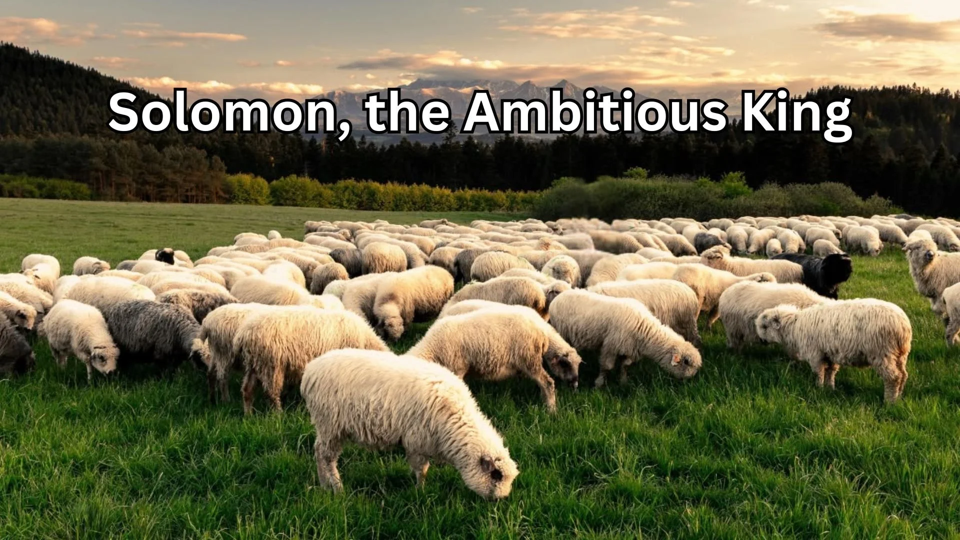 “Solomon, the Ambitious King”