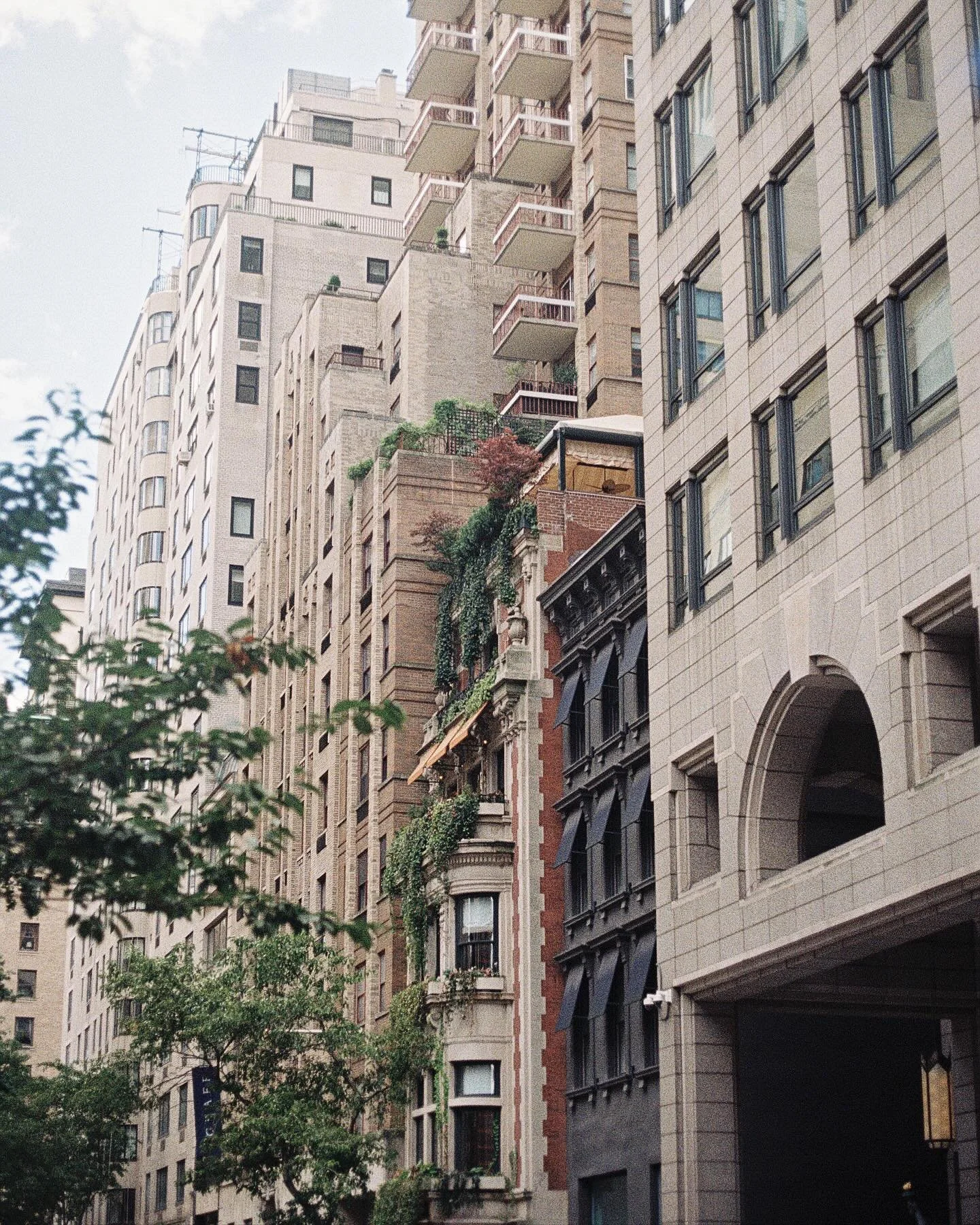 Film Friday 🎞️ 
One of my goals for the year was to become proficient in film, for fun but also to better my knowledge on photography. Shooting film has become one of my favorite things, it forces me to be precise &amp; more intentional with my shot