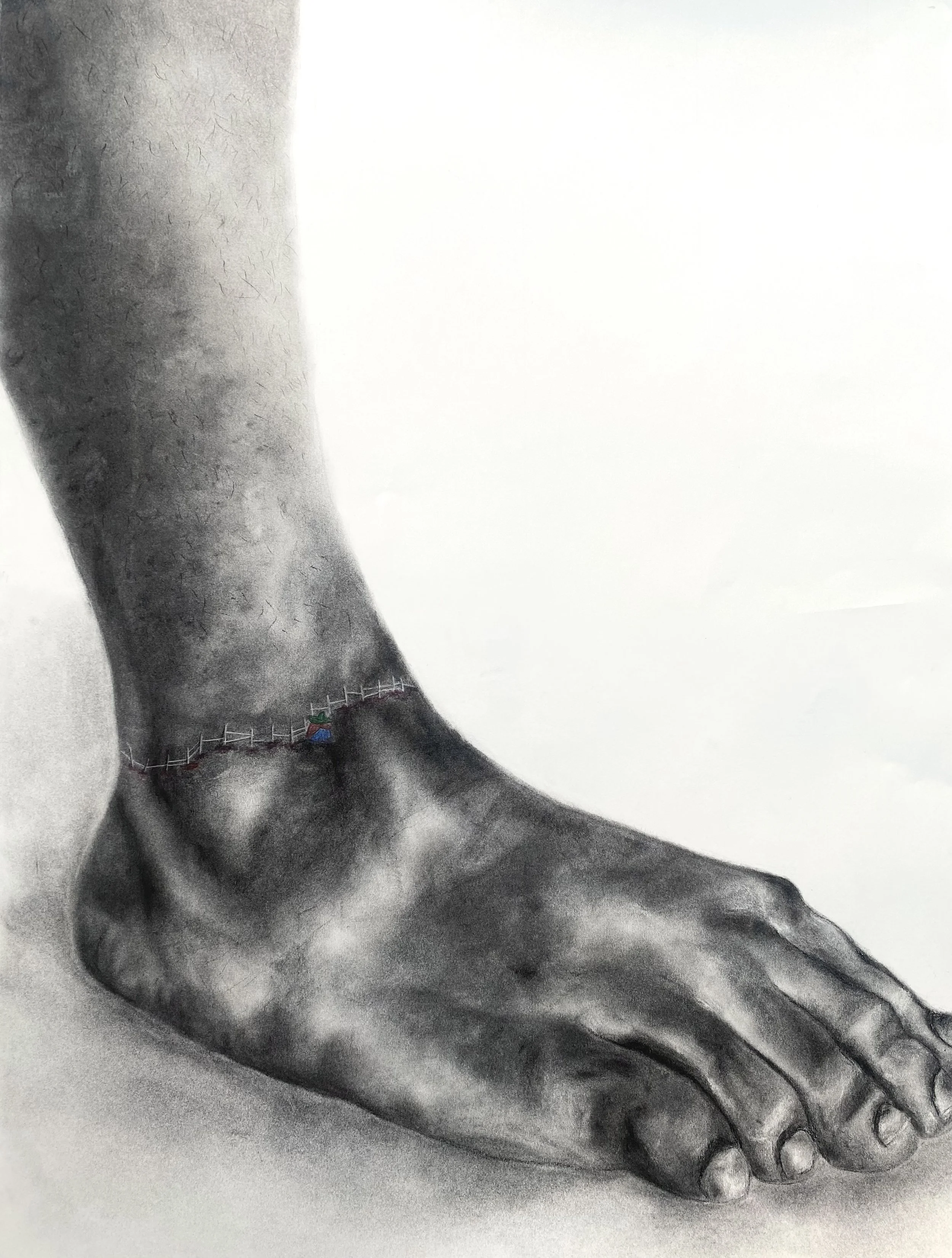 Un Paso Más, 2025, Charocal and watercolor on paper, 22 x 30 in