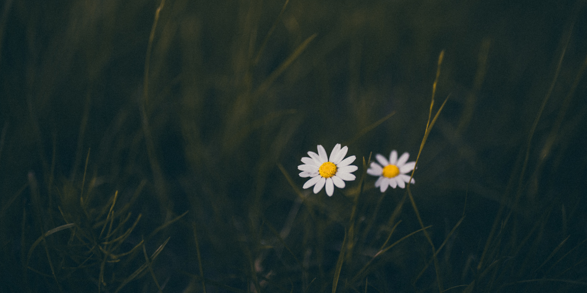 What to Do When Your Partner Won’t Listen