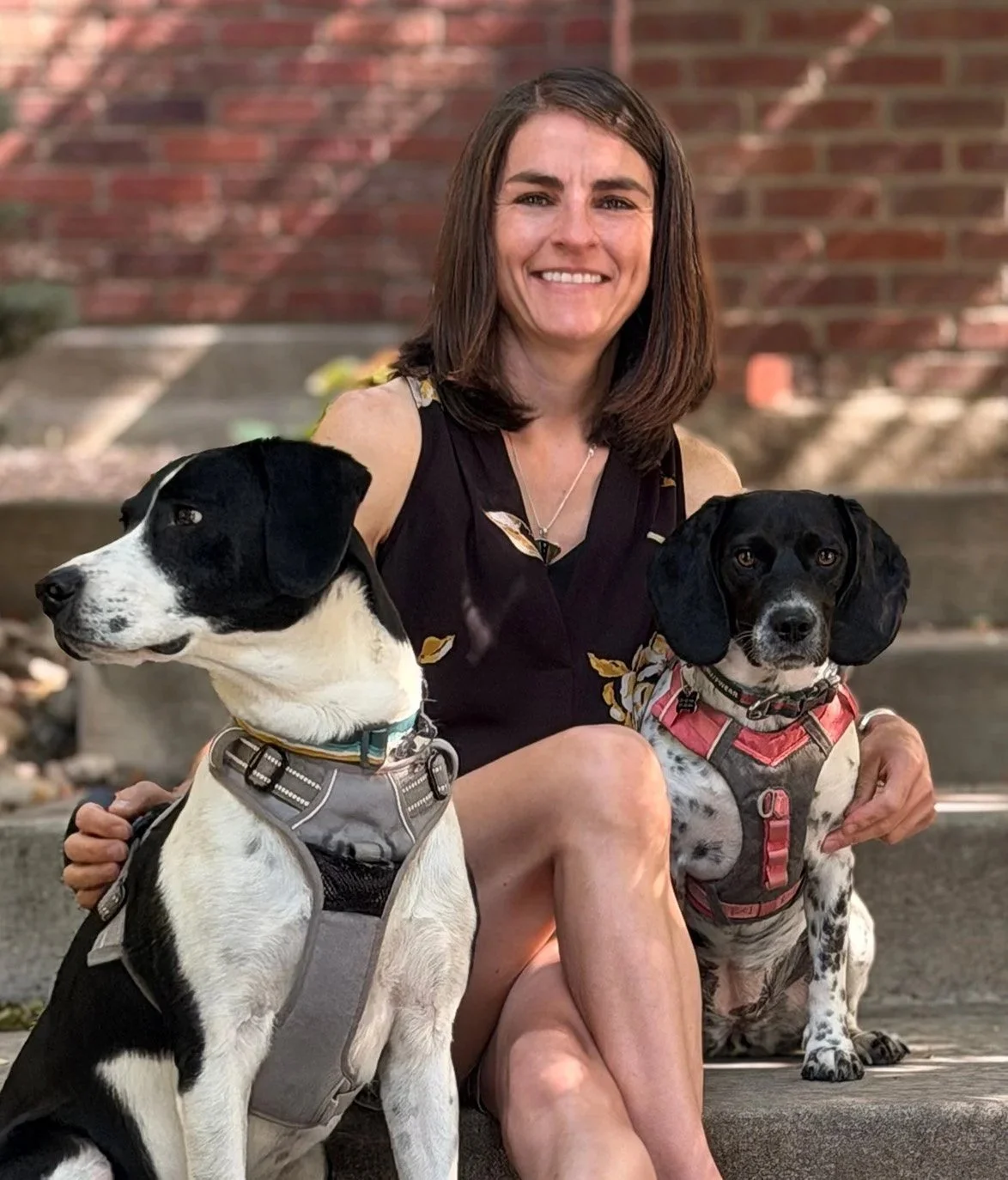 A woman smiling and sitting outdoors on concrete stairs with two dogs, one black and white and the other black and white with spots, wearing harnesses, in front of a brick wall.
