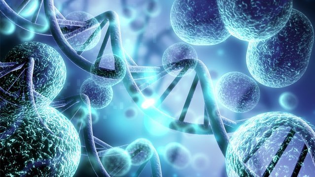 Dispelling Stereotypes About Biology