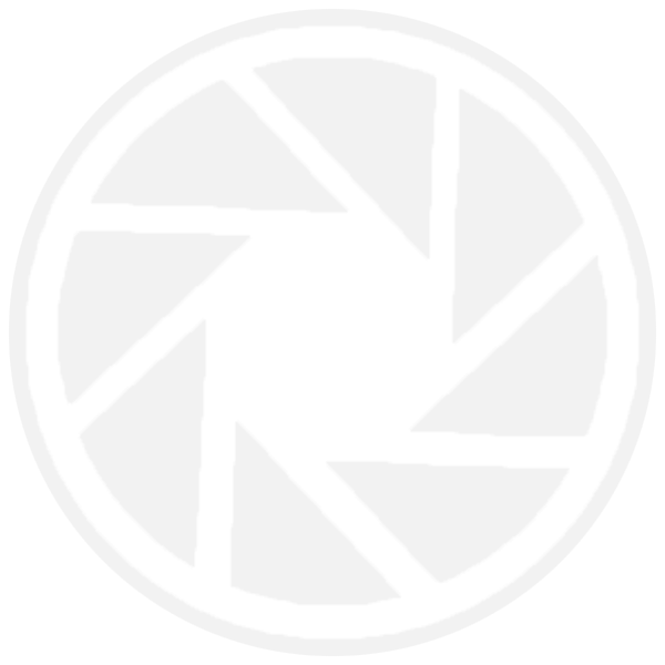 https://drepopow.nyc/