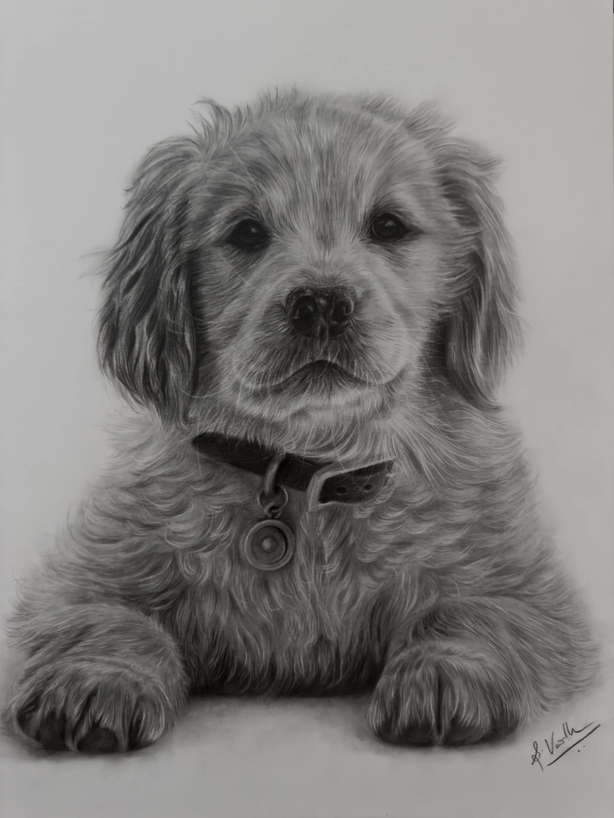 Vanitha Selvam - Silent Companion, graphite on Paper, 9x12”, 2025