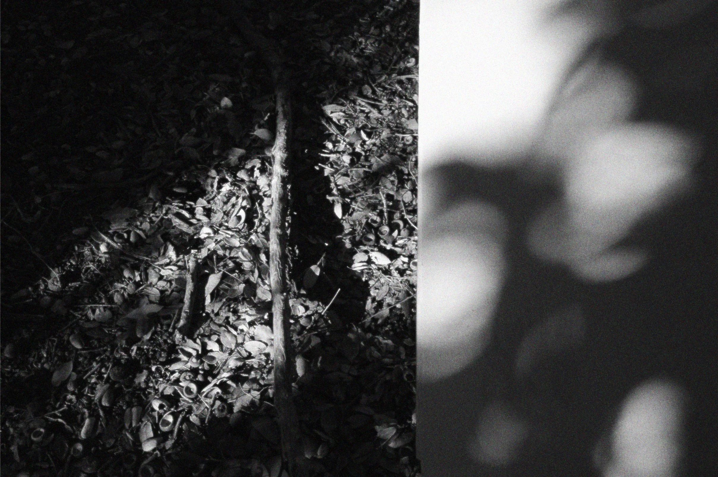 bw shadow.jpg